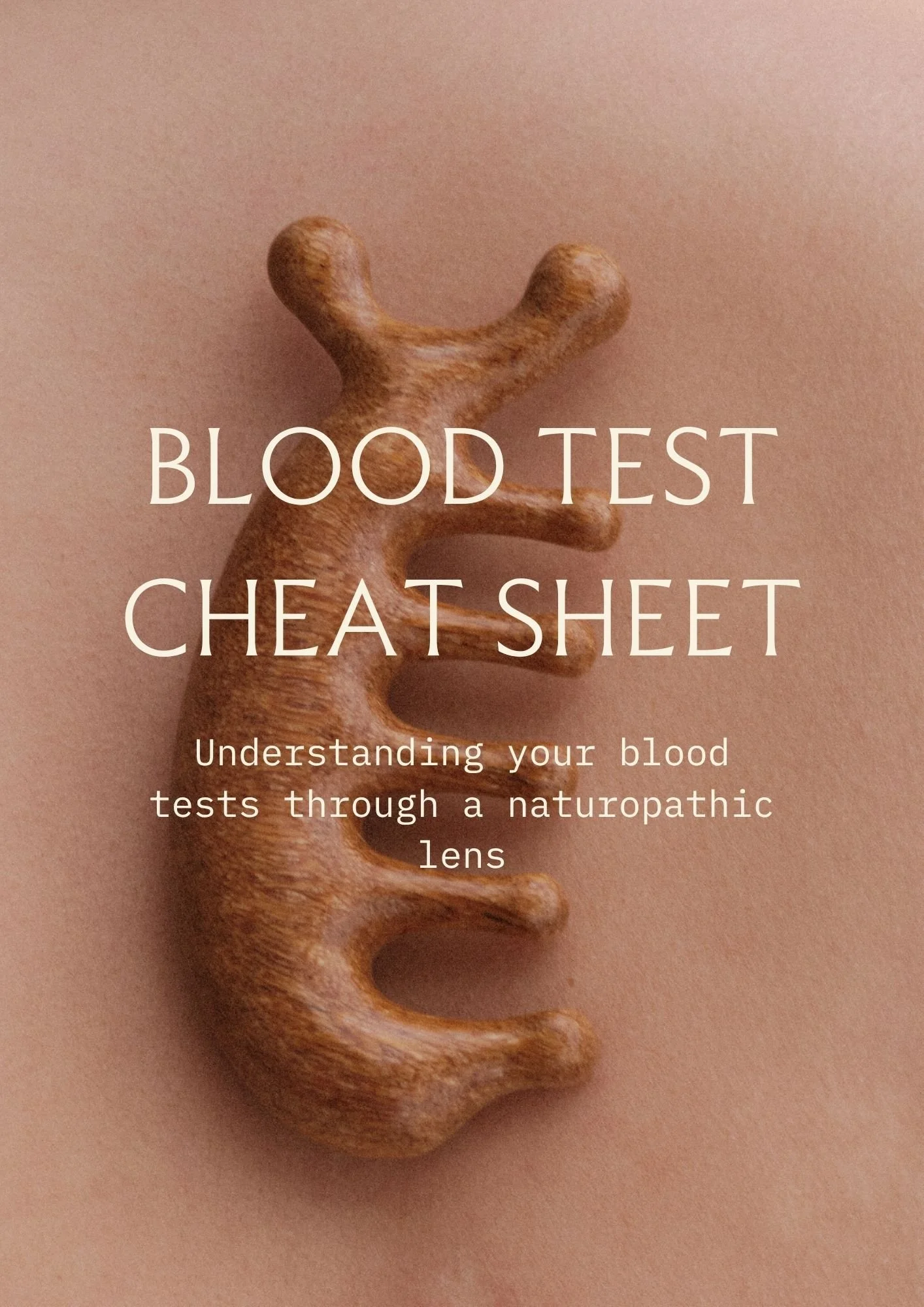 HowtoReadYourOwnBloodTests.pdf.jpg