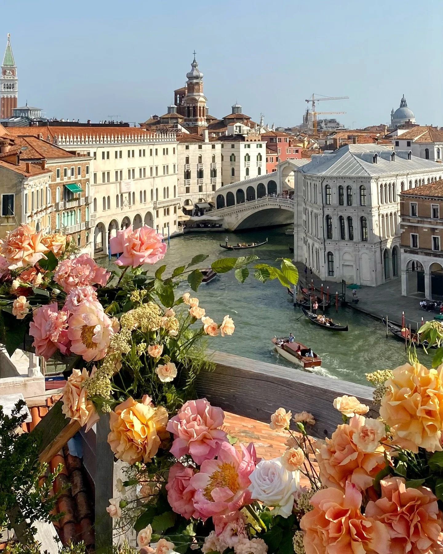 360 degrees of pure Venetian romance for a sunset rooftop proposal at @venicevenicehotel 🌸

Planning by @houseofkirschner
Florals by @nomadic.bloom 

#weddingflowers #weddingflorals #weddingflorist #destinationwedding #elopement #proposal #italywedd