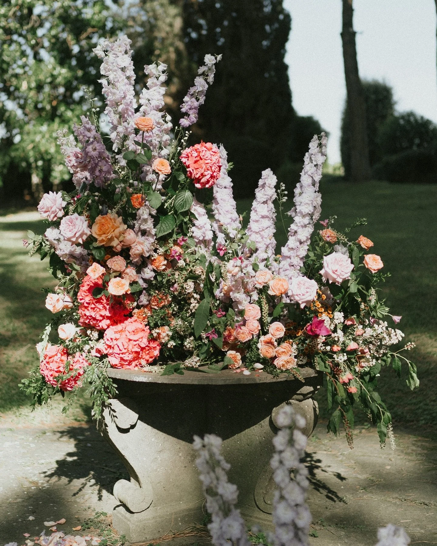 Garden romance in full bloom for Libby and Reece 🌸

Photos @tozzistudio 
Florals @nomadic.bloom 
Venue @tenuta4pini 

#weddingflowers #weddingflorals #weddingflorist #destinationwedding #elopement #romewedding #italywedding