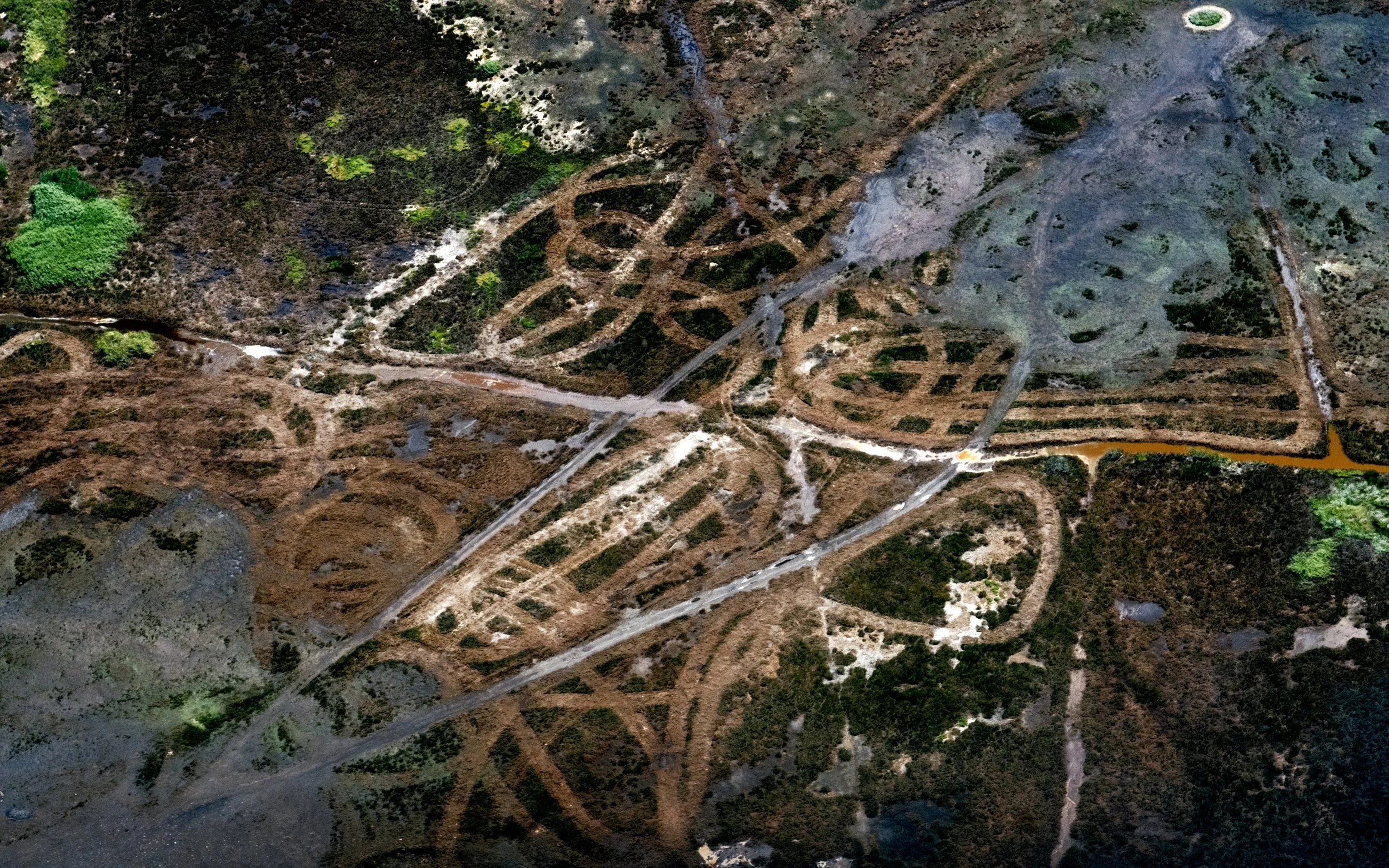 EXPORTS PLANE RIDE CALI 2025-117.jpg