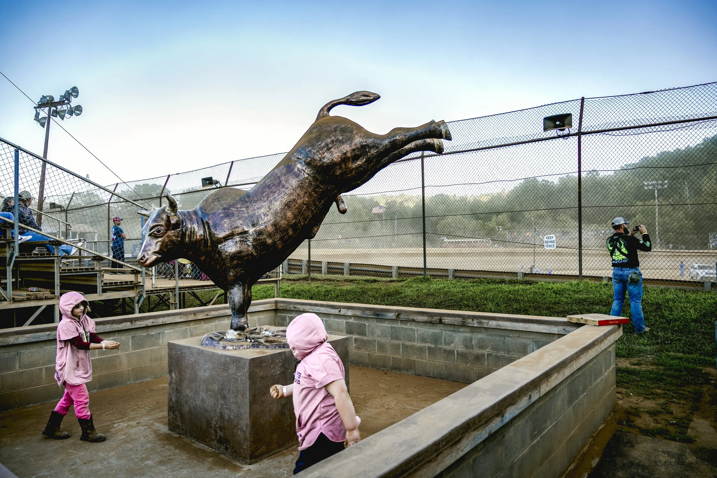 late model website bull pink-101.jpg