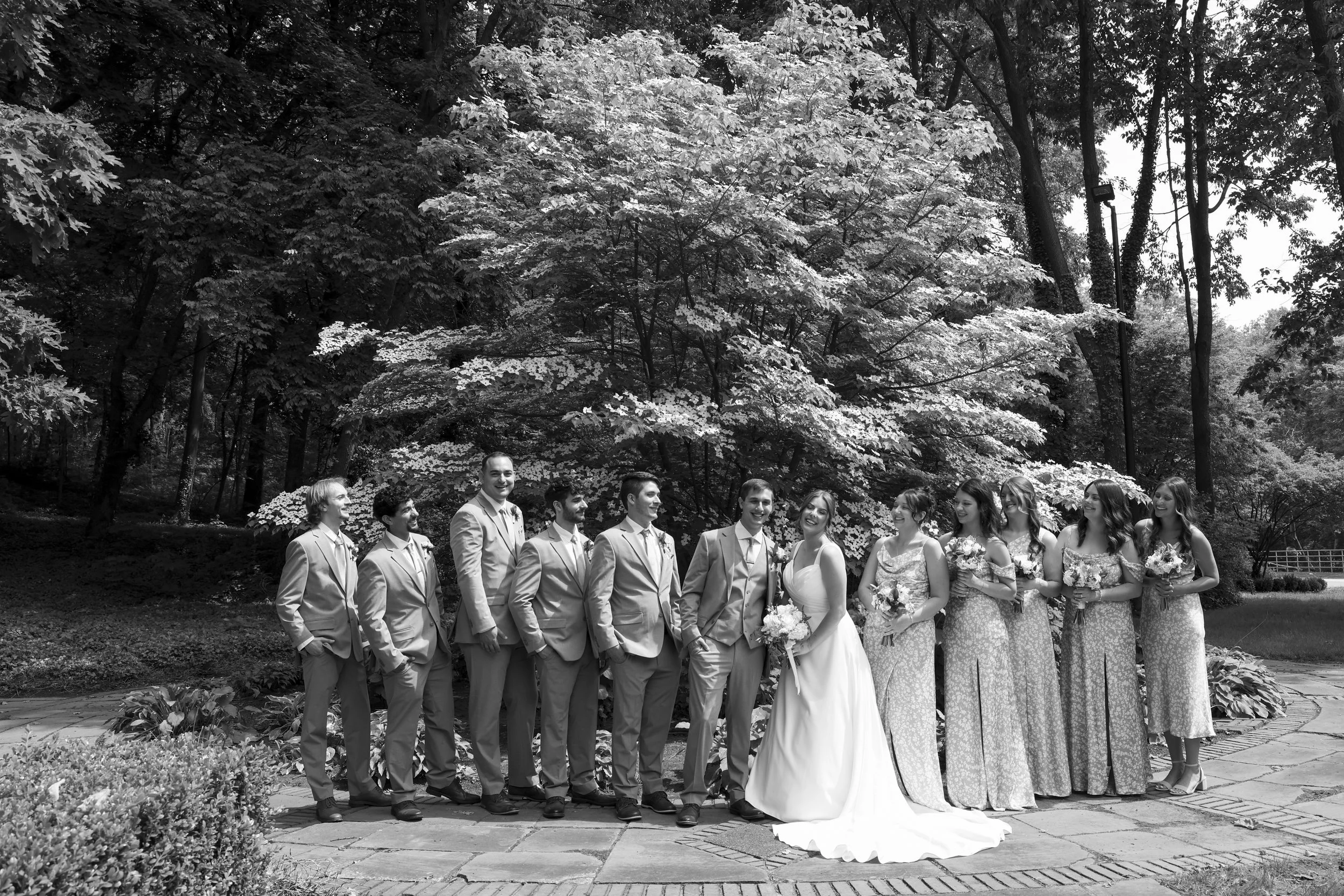 Sabina + Nick Previews-108.jpg