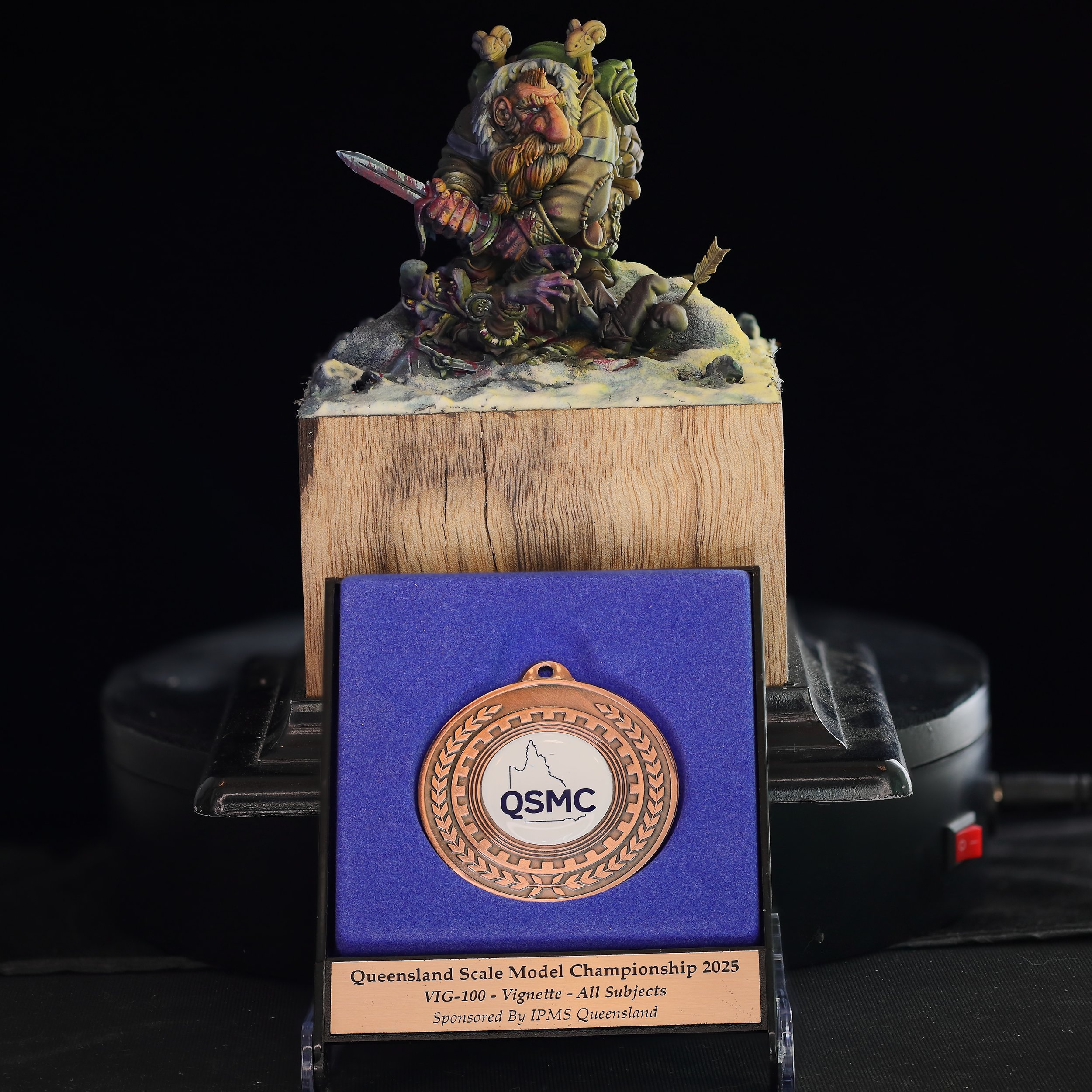 Into the Wilds - QMHE 2025 - Bronze - VIG-100 - Vignette - All Subjects