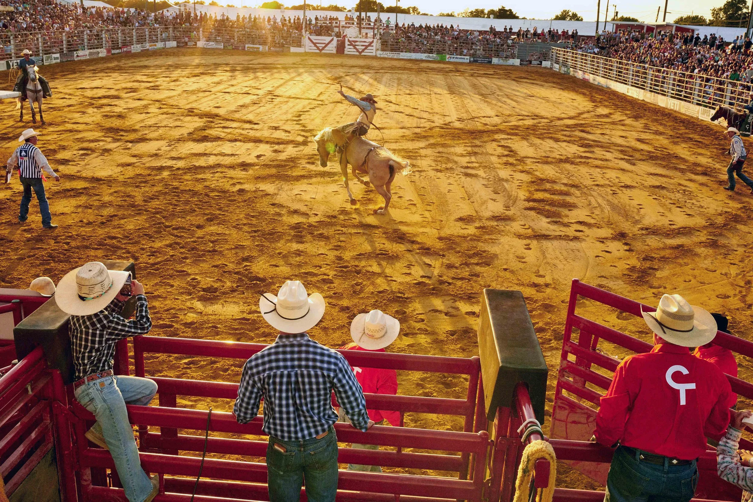2024_website_cowtown_001.JPG