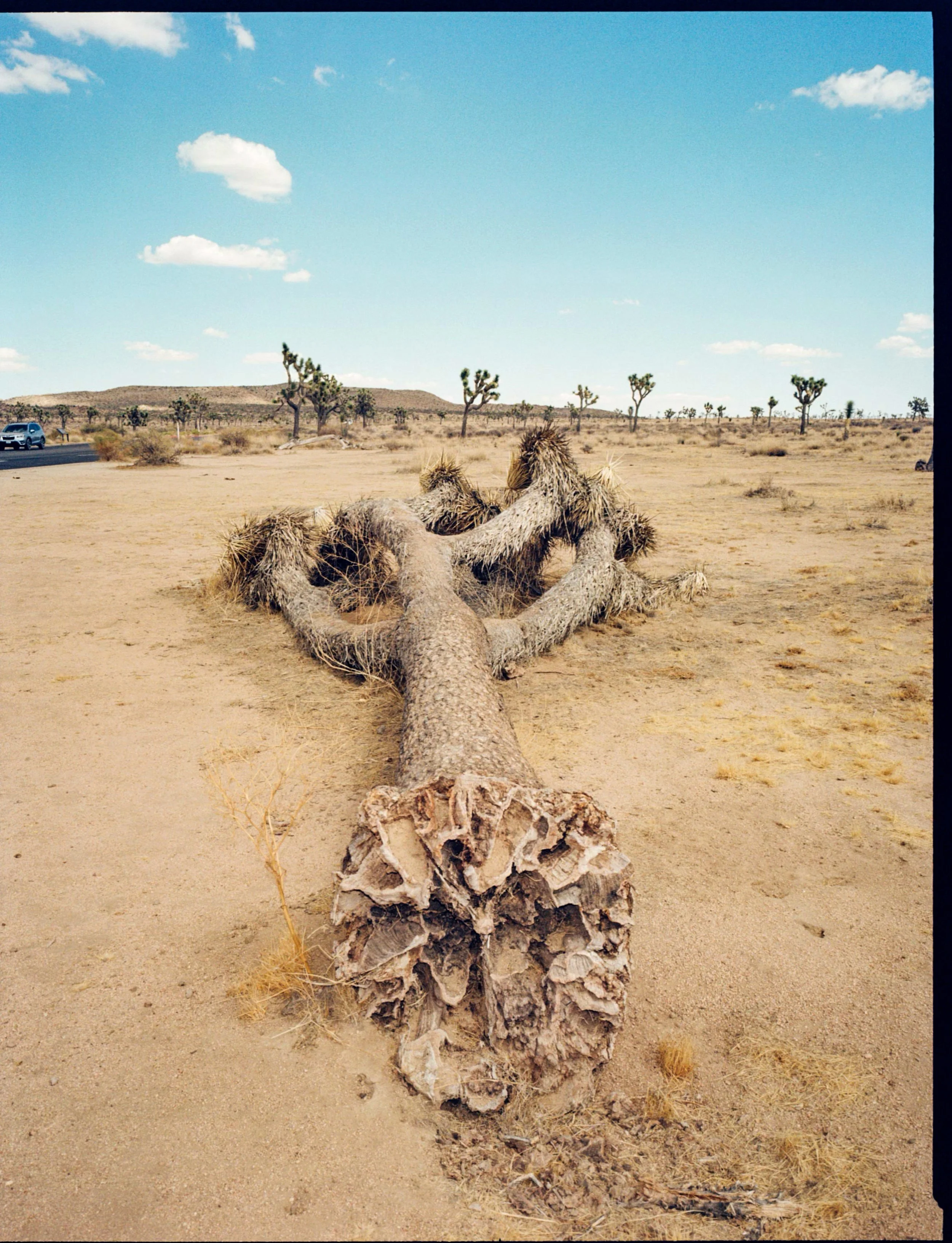 photo-output_7 2.JPG