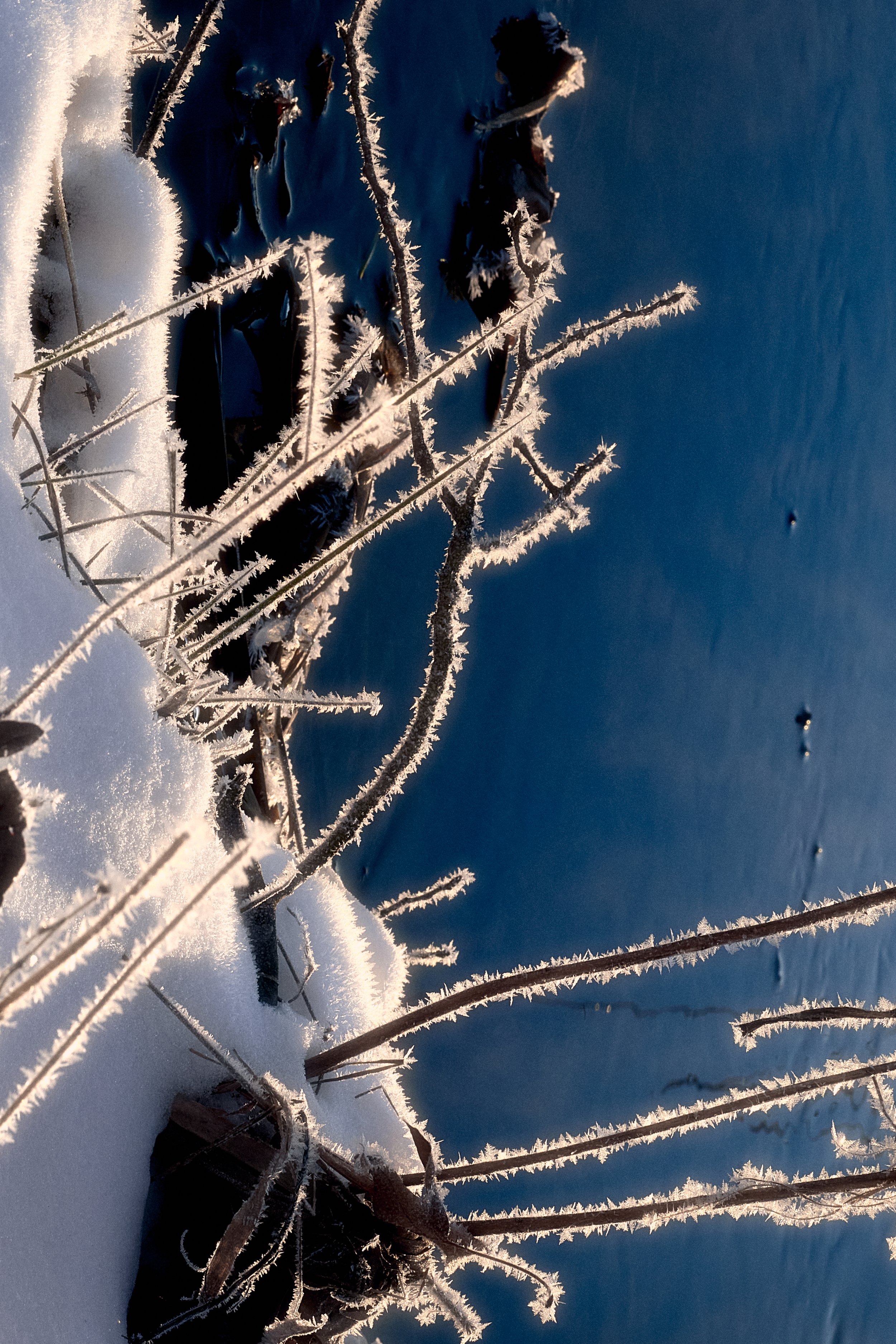 012224_Personal_Frost_015 3.jpg