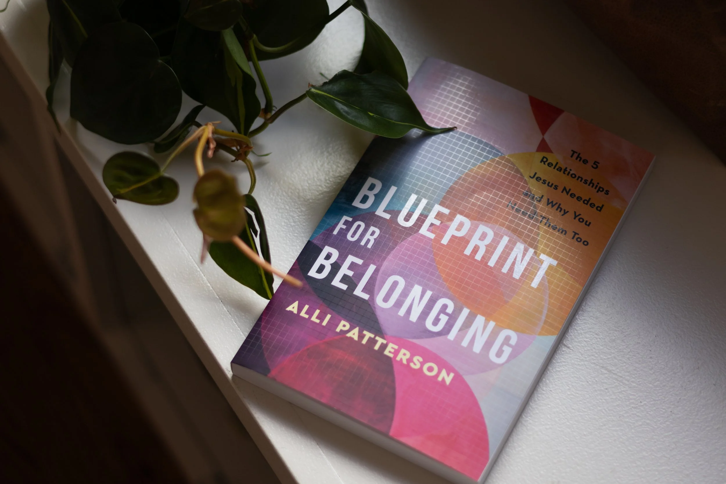 Blueprint for Belonging