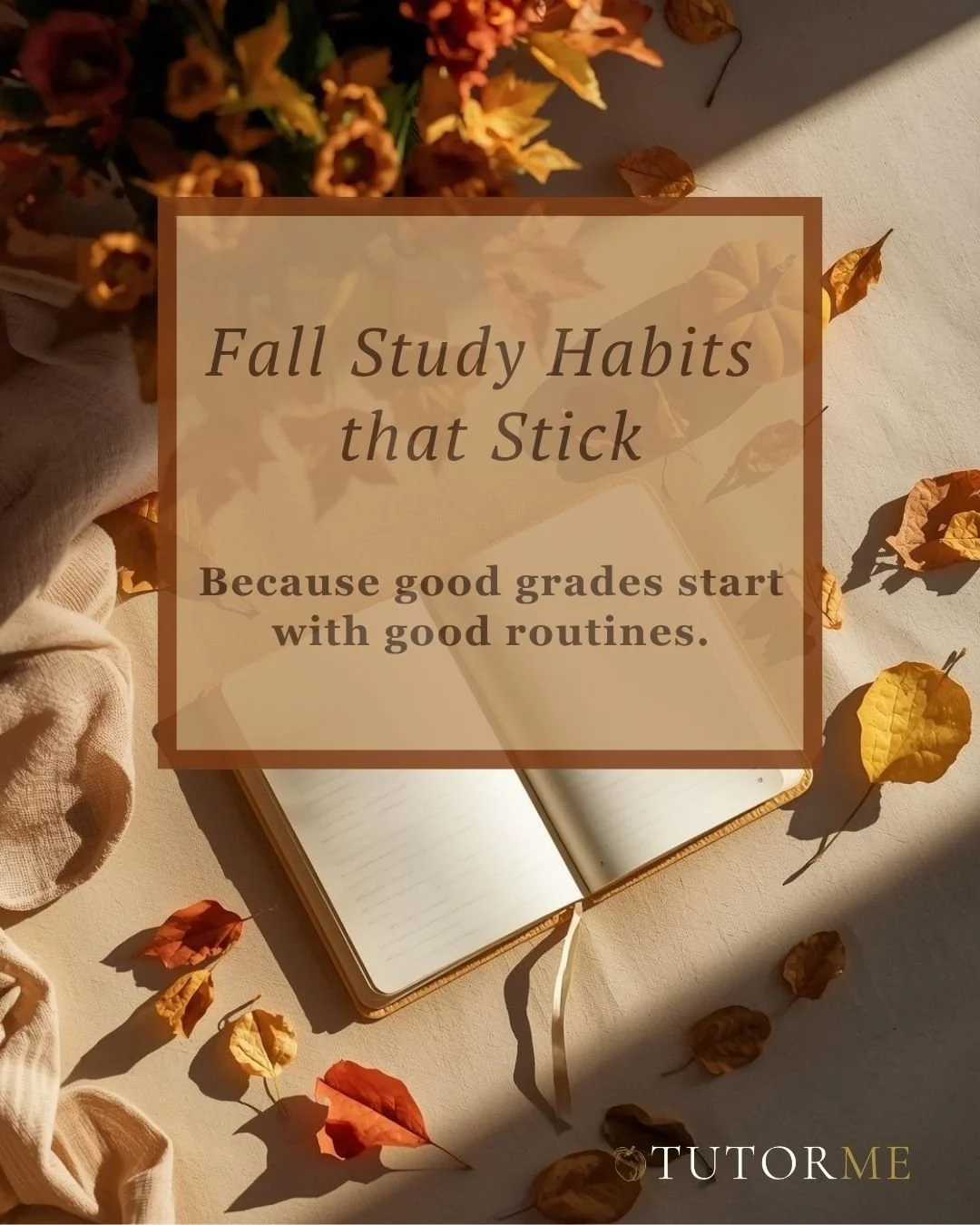 🍁 This Fall, help your student build habits that last beyond the semester. Short sessions. Clear goals. Consistent encouragement.

Ready for personalized support? Let&rsquo;s find the perfect tutor for your child today.

www.tutormeatl.com