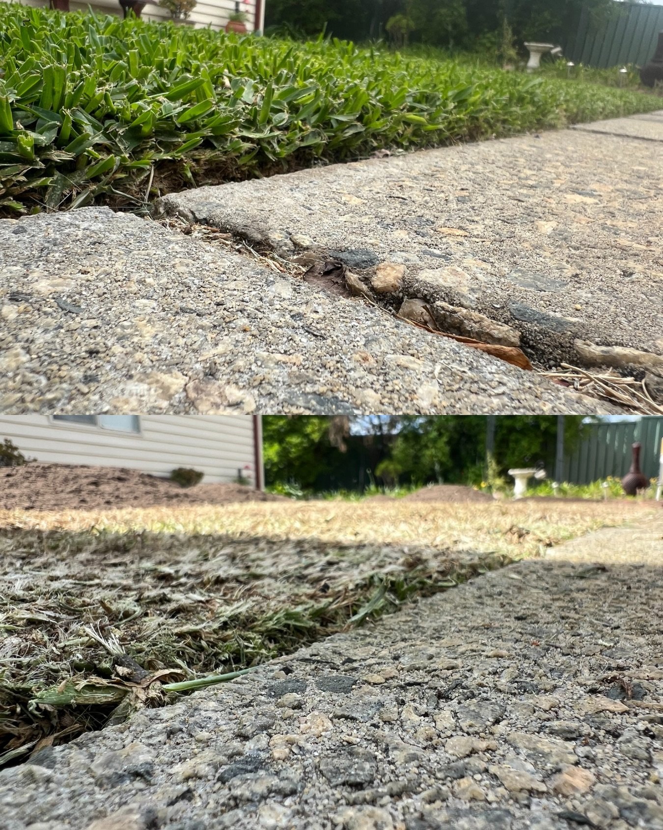 The Great Wall of Buffalo has fallen. 

Went pretty hard on this one, very old Sir Walter that&rsquo;s never had a reno. It was so thick and spongy you could almost fall through it walking over. Can&rsquo;t wait to see the recovery! 🌱🌱

#lawn #lawn