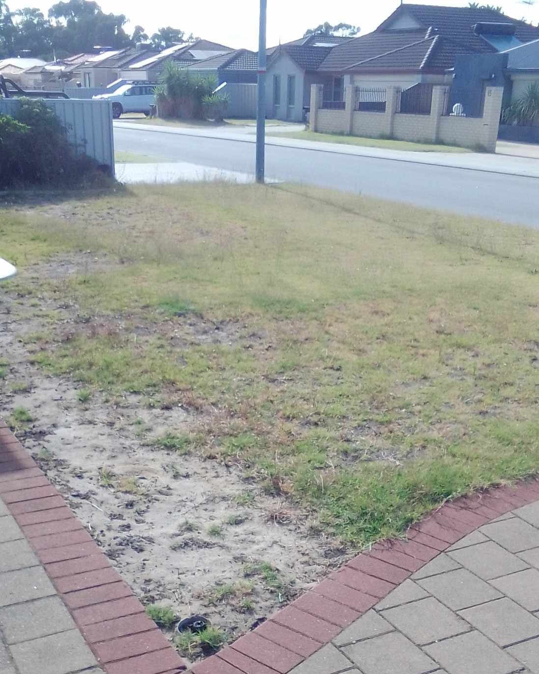 Transforming a lawn is the most rewarding thing in this business 🌱

I have been working on this lawn for just under 3 months. We have taken it from being patchy, full of weeds to a lush green lawn again. 

The process has been:
- Regular mowing
- Hi