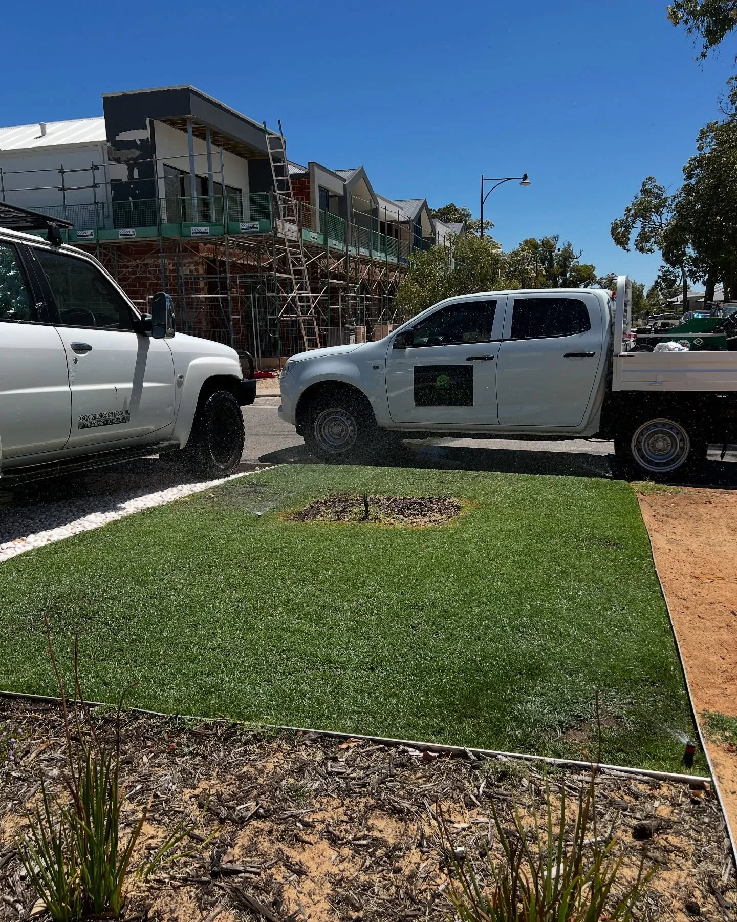Two weeks post renovation, looking great! 🌱

#lawn #lawncare #lawnrenovation #lawnmaintenance