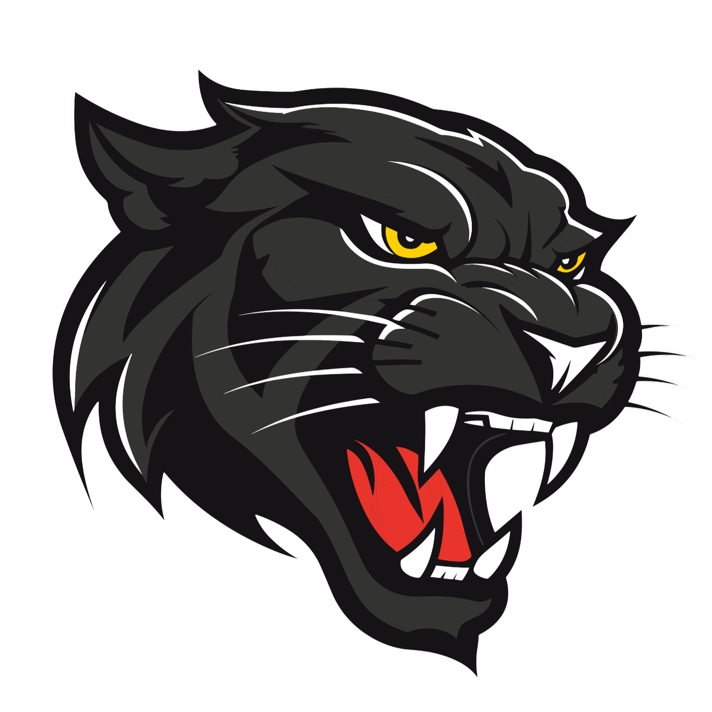Doncaster Basketball Club