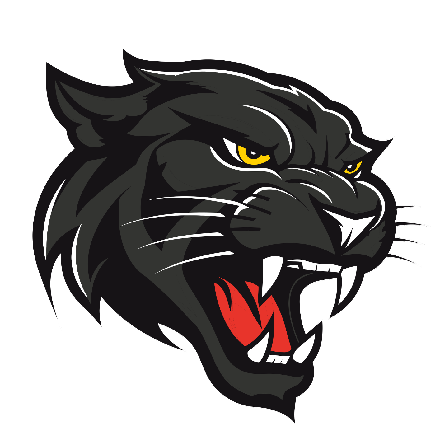 Doncaster Basketball Club