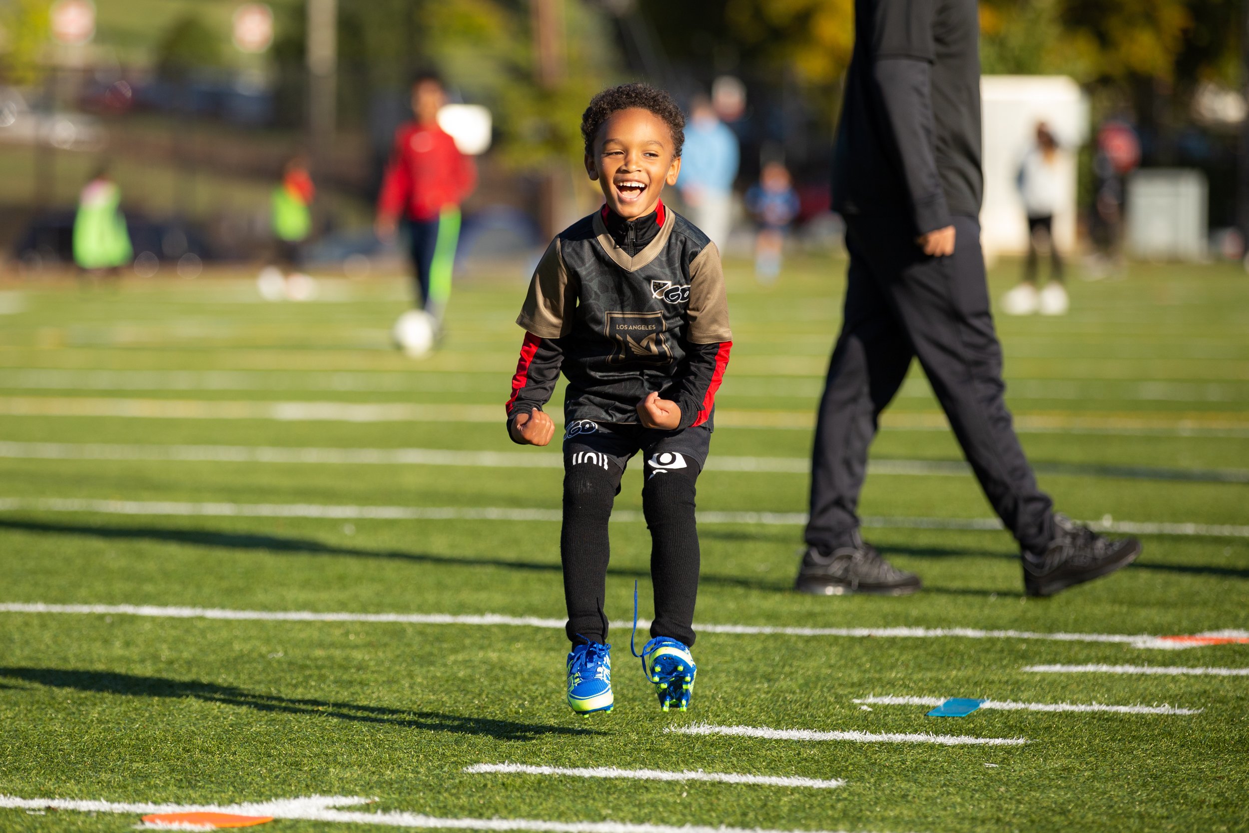 MLS GO — Open Goal Project
