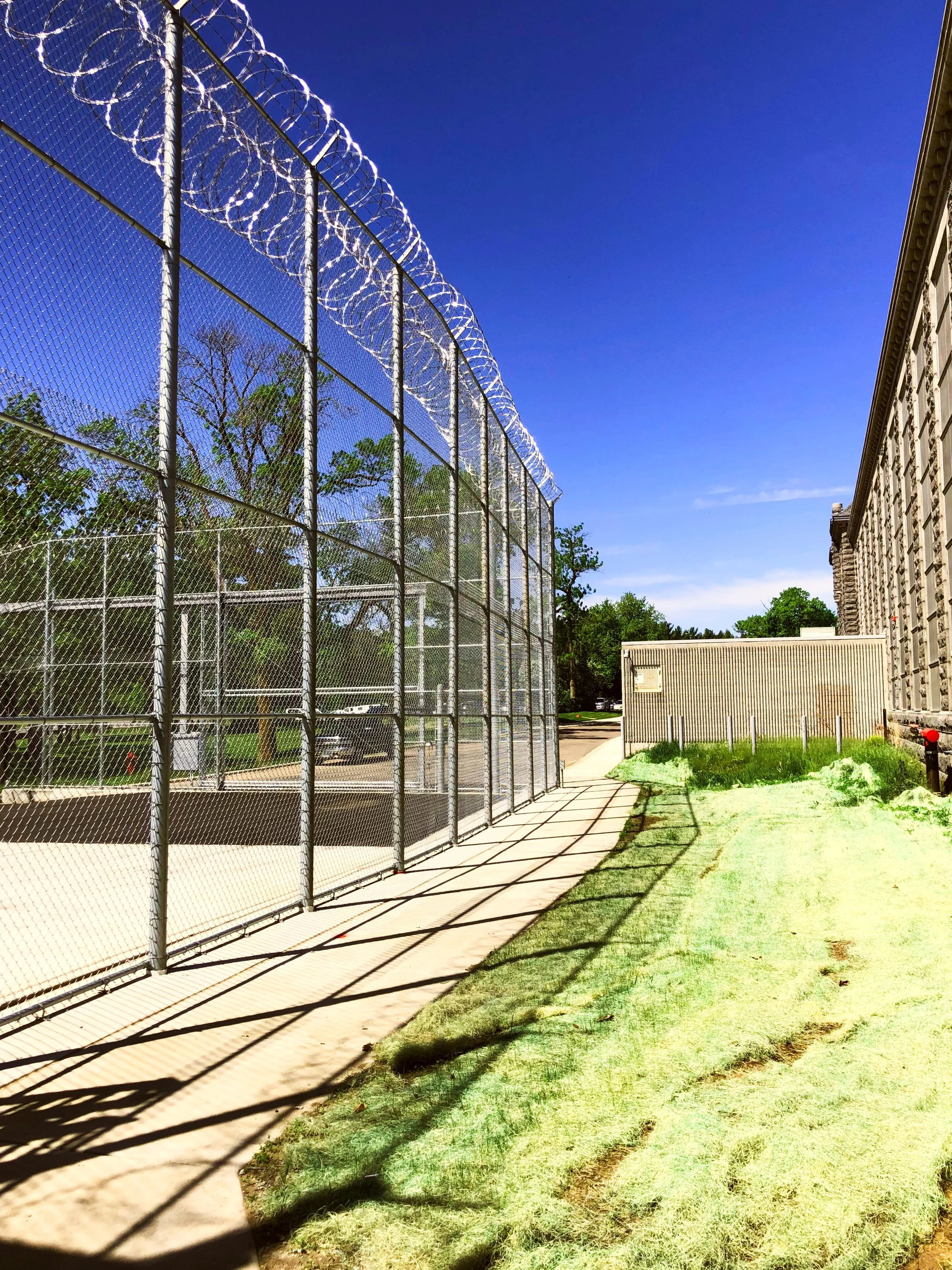 Chain Link Barb - MW11.26.jpg