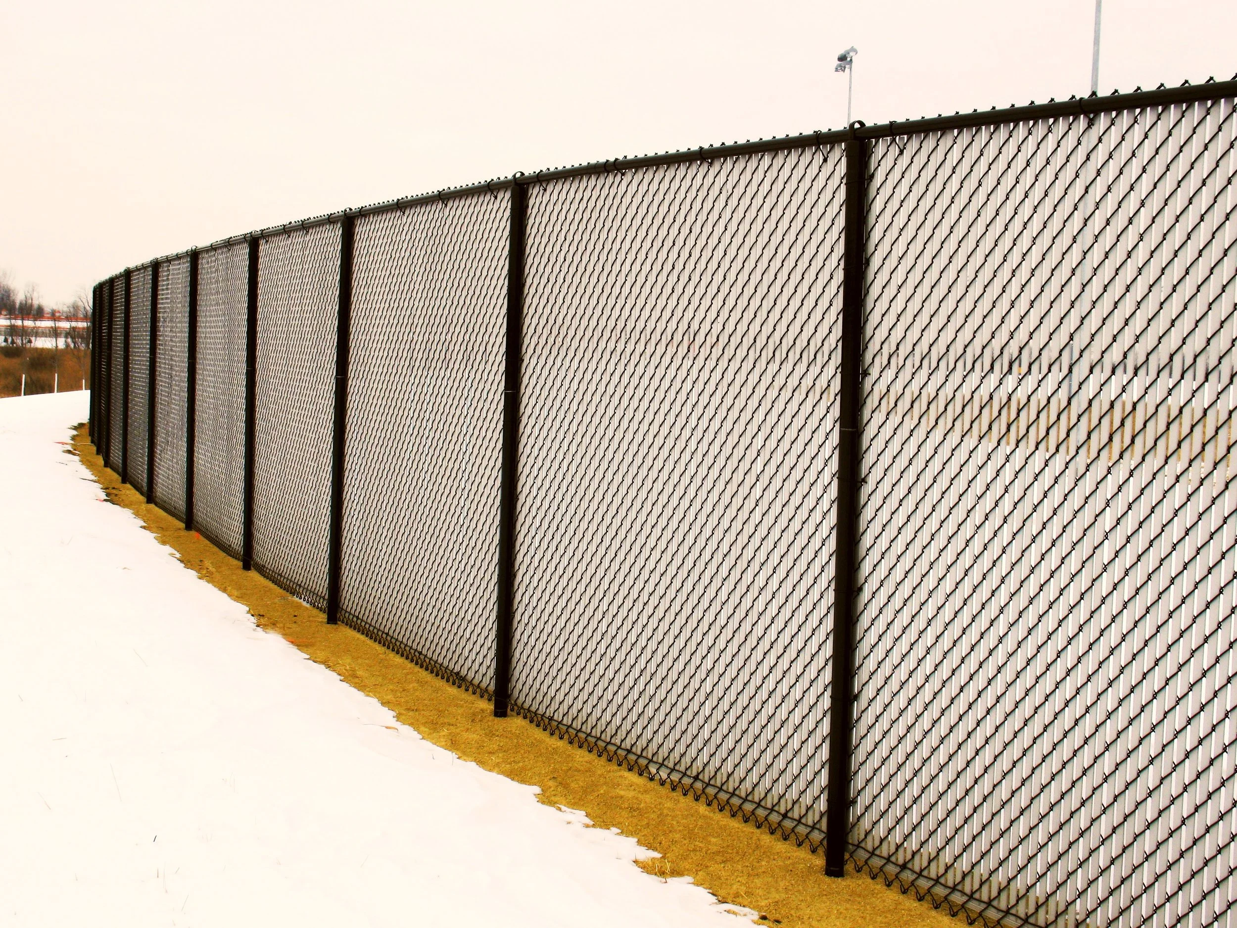 Chain Link - MW11.26.jpg