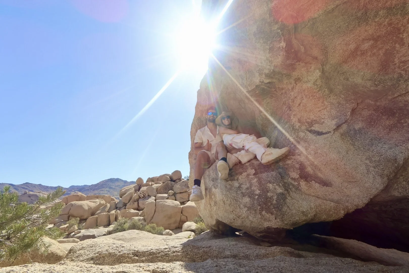 Found In Joshua Tree