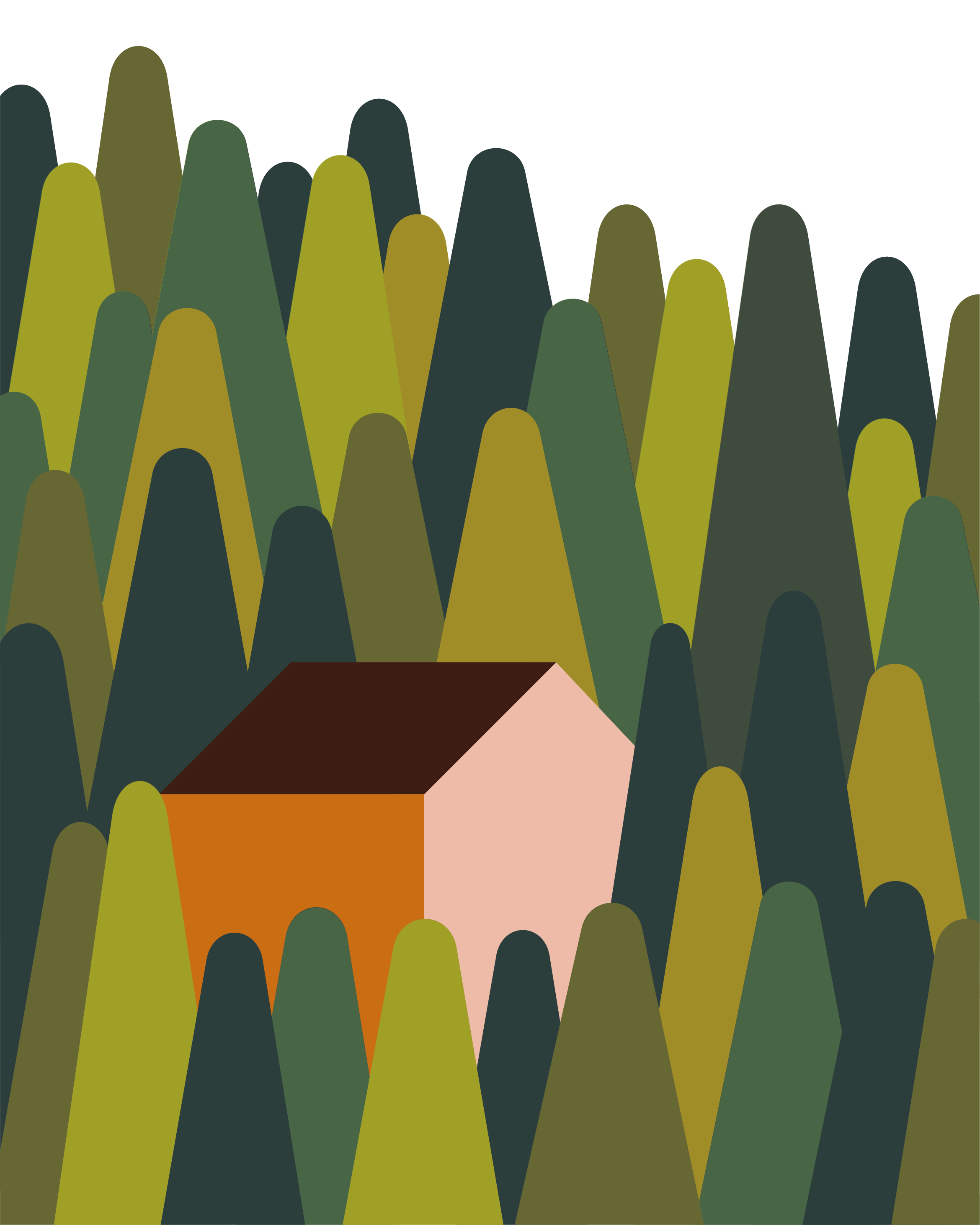 MAISON-FORET.png