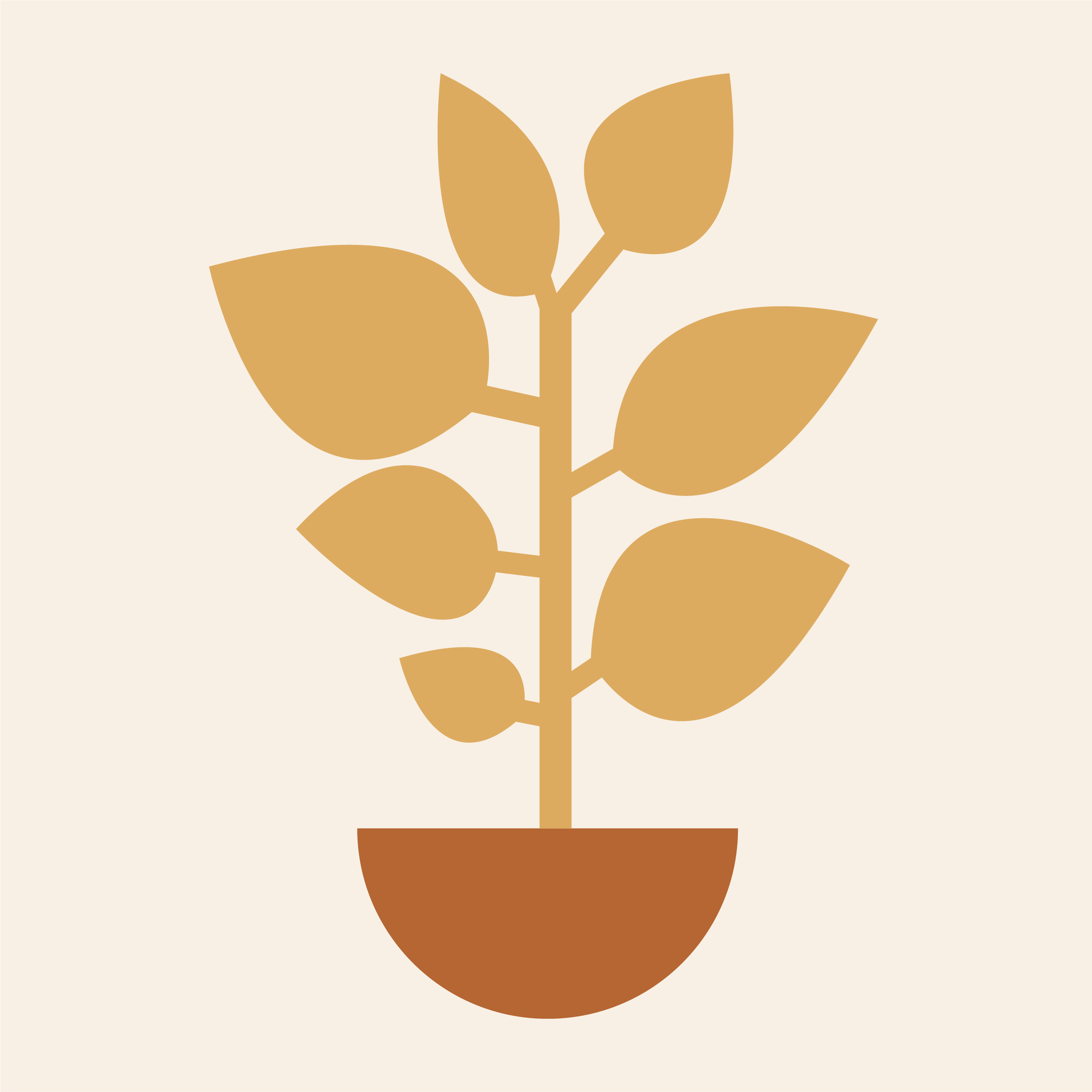 PLANTE.png