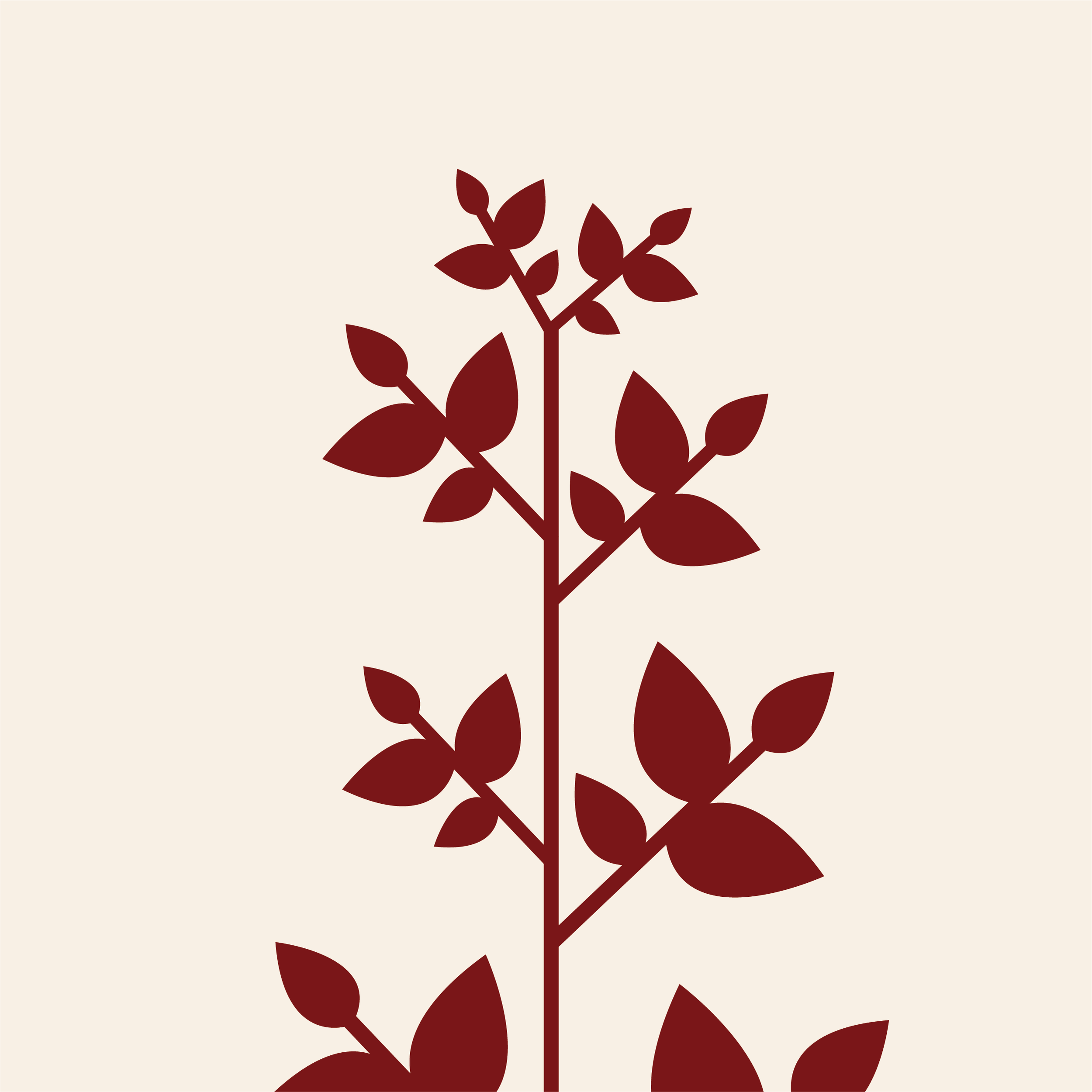 plante2.png