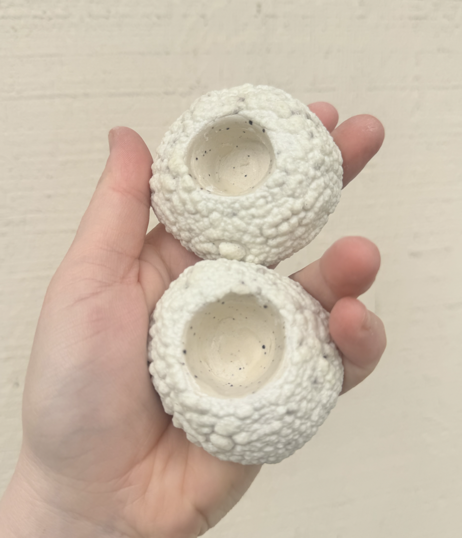 Screen Shot 2025-12-26 at 4.46.22 PM.png