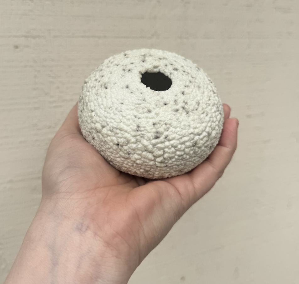 Screen Shot 2025-12-26 at 4.46.18 PM.png