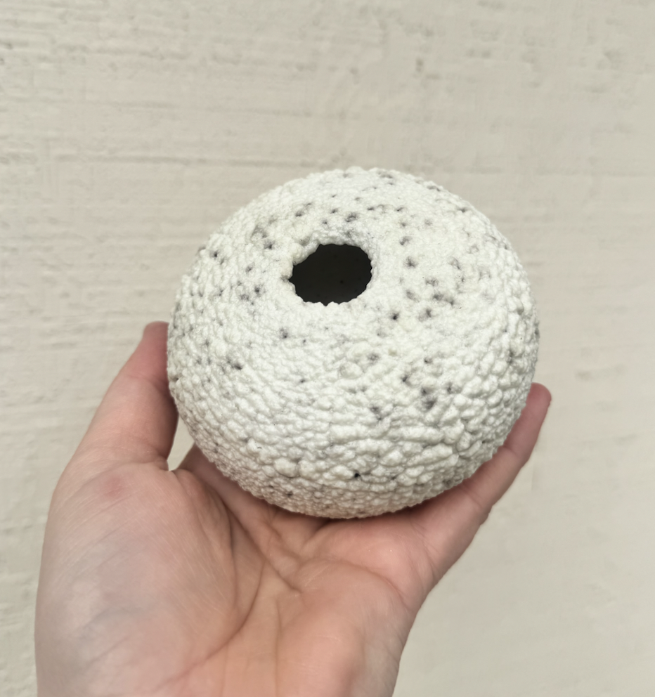 Screen Shot 2025-12-26 at 4.46.12 PM.png