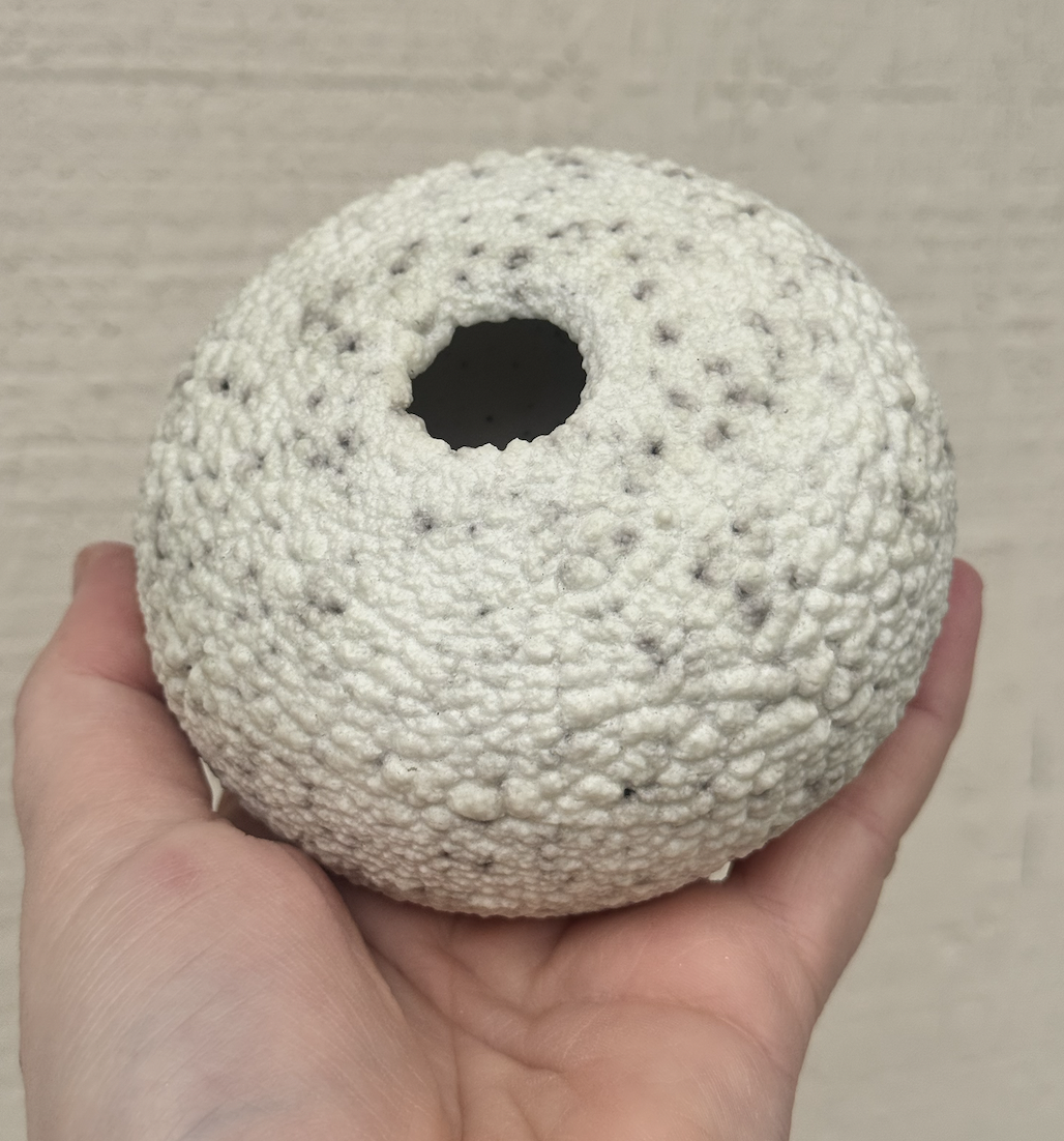 Screen Shot 2025-12-26 at 4.46.15 PM.png