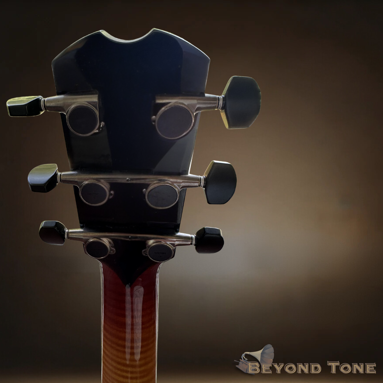 Tim May oval whole acoustic (2).png