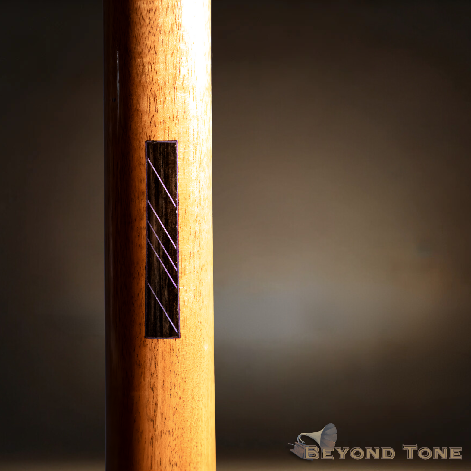 Steinbock Fine Instruments rare.png