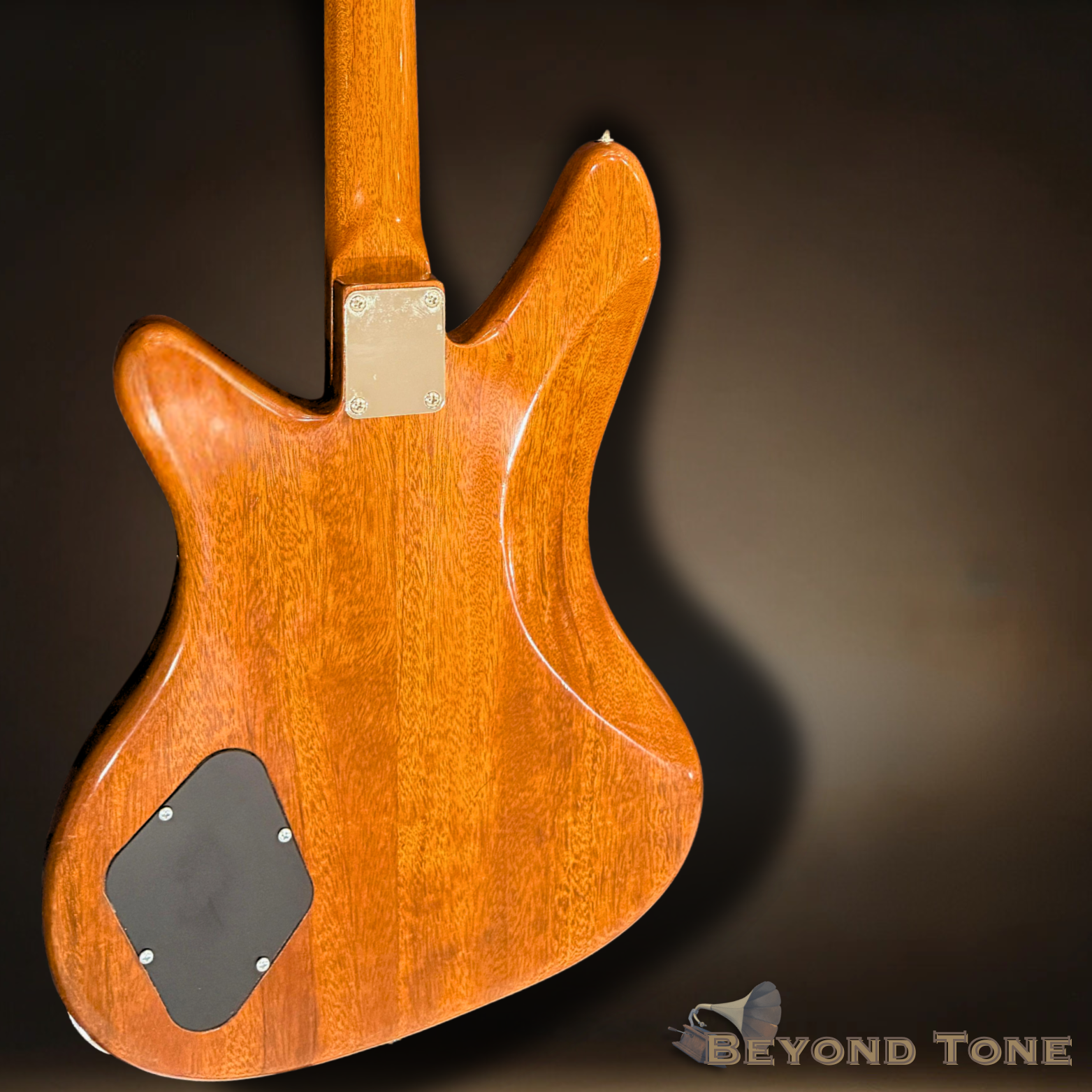 Prisma Corvina (2).png