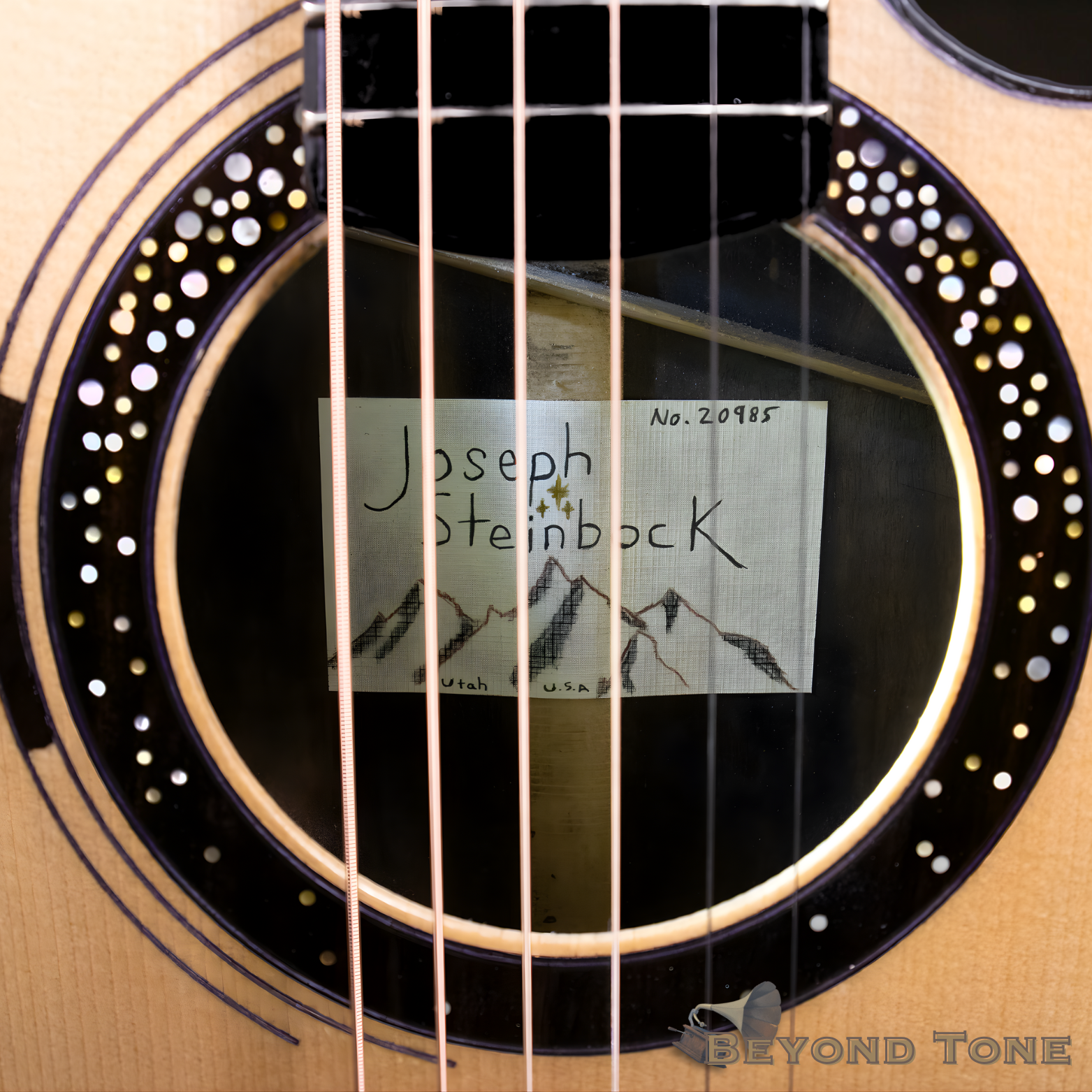 Steinbock Fine Instruments rosette.png