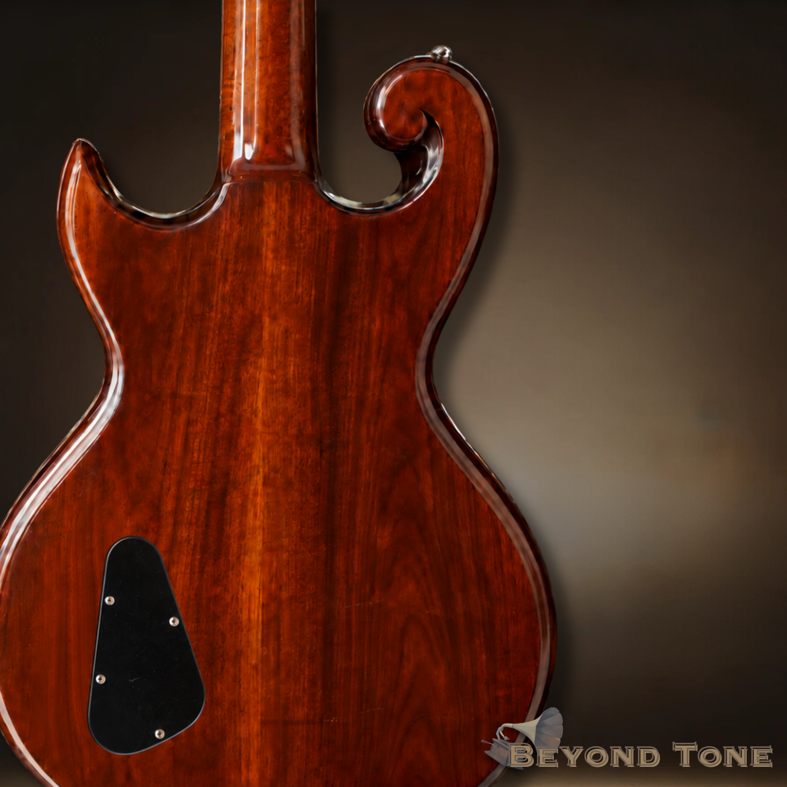 Epiphone sc 450 (2).png