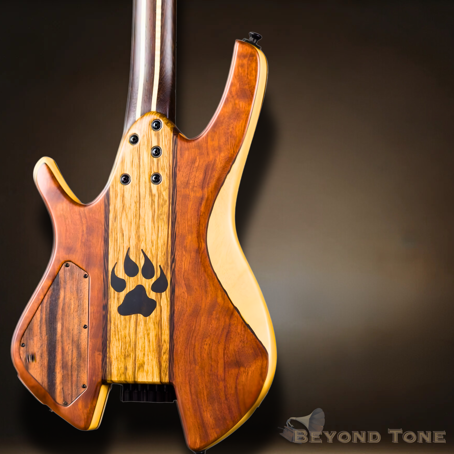 Blackcat Custom hhd6 (2).png