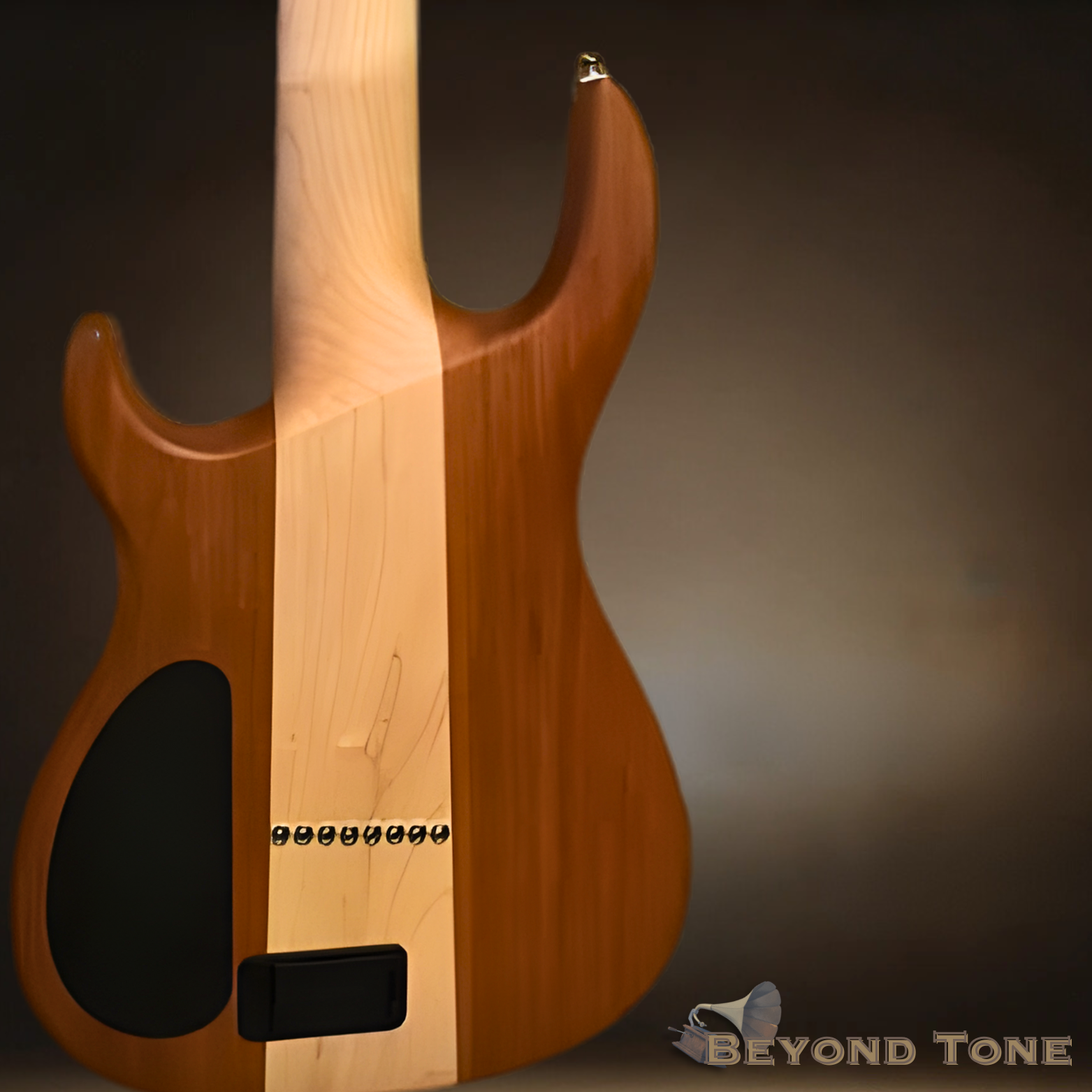 Kiesel 8 string nylon fretless (2) copy.png