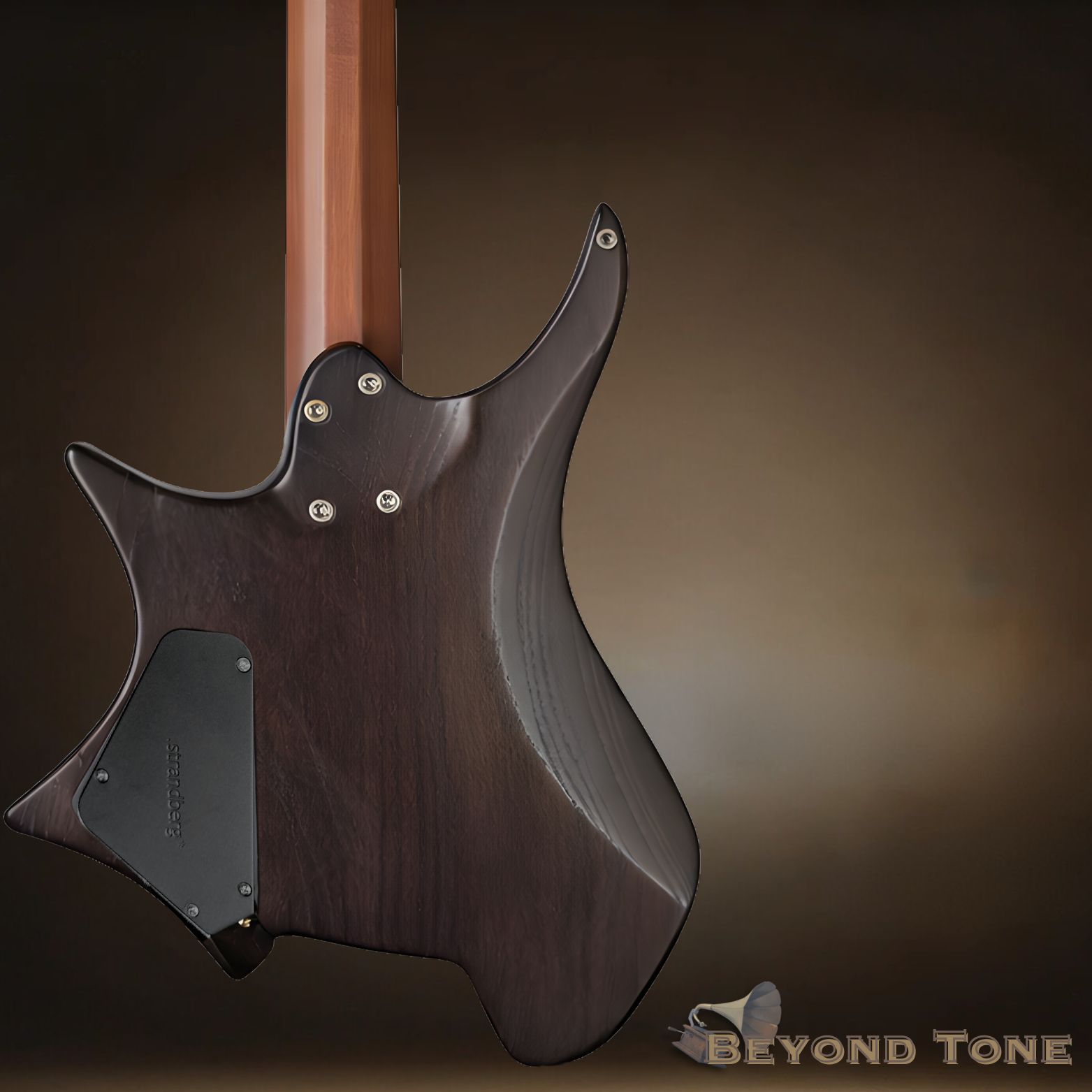 Strandberg Guitars (2).png
