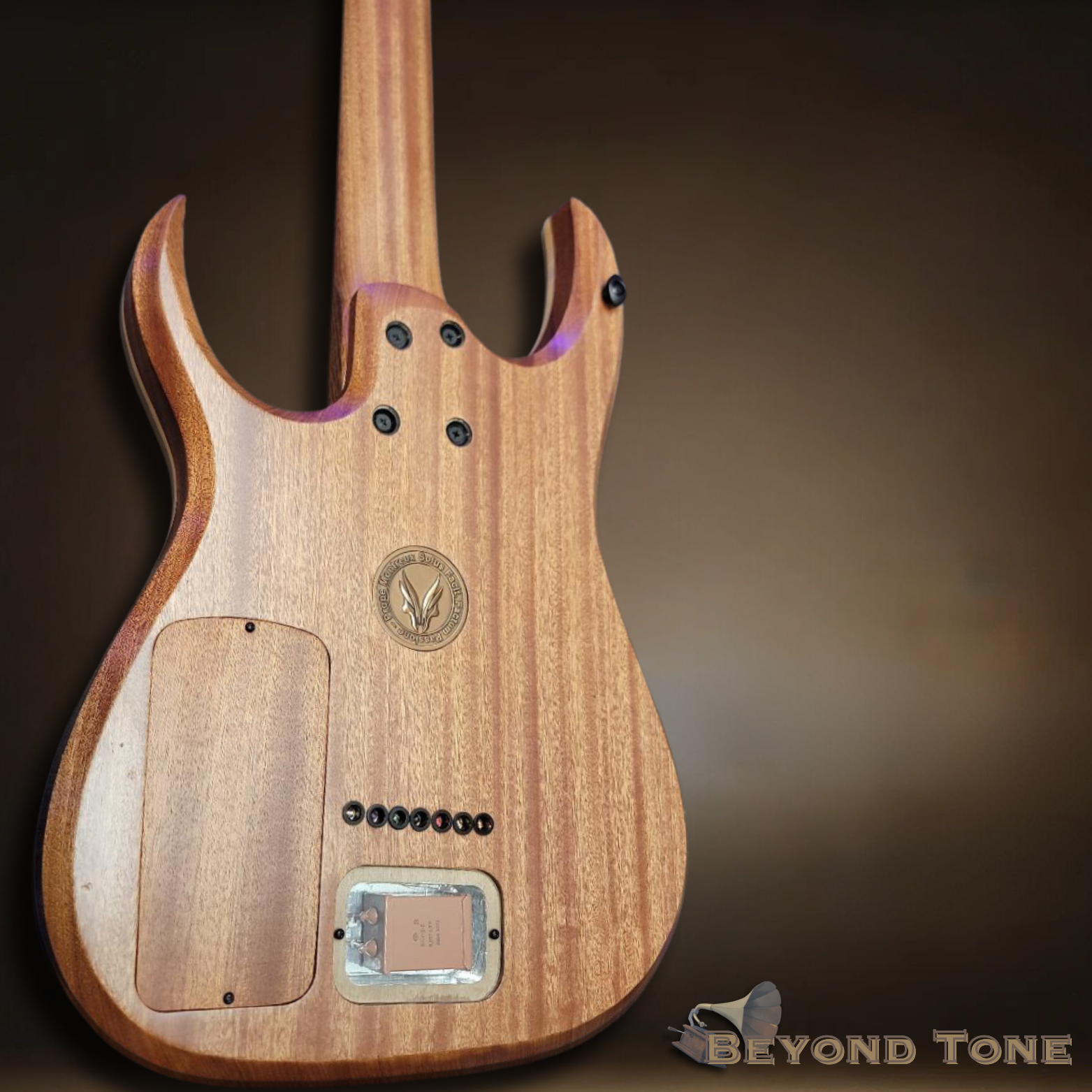 Patrick Hufschmid 7 string.png