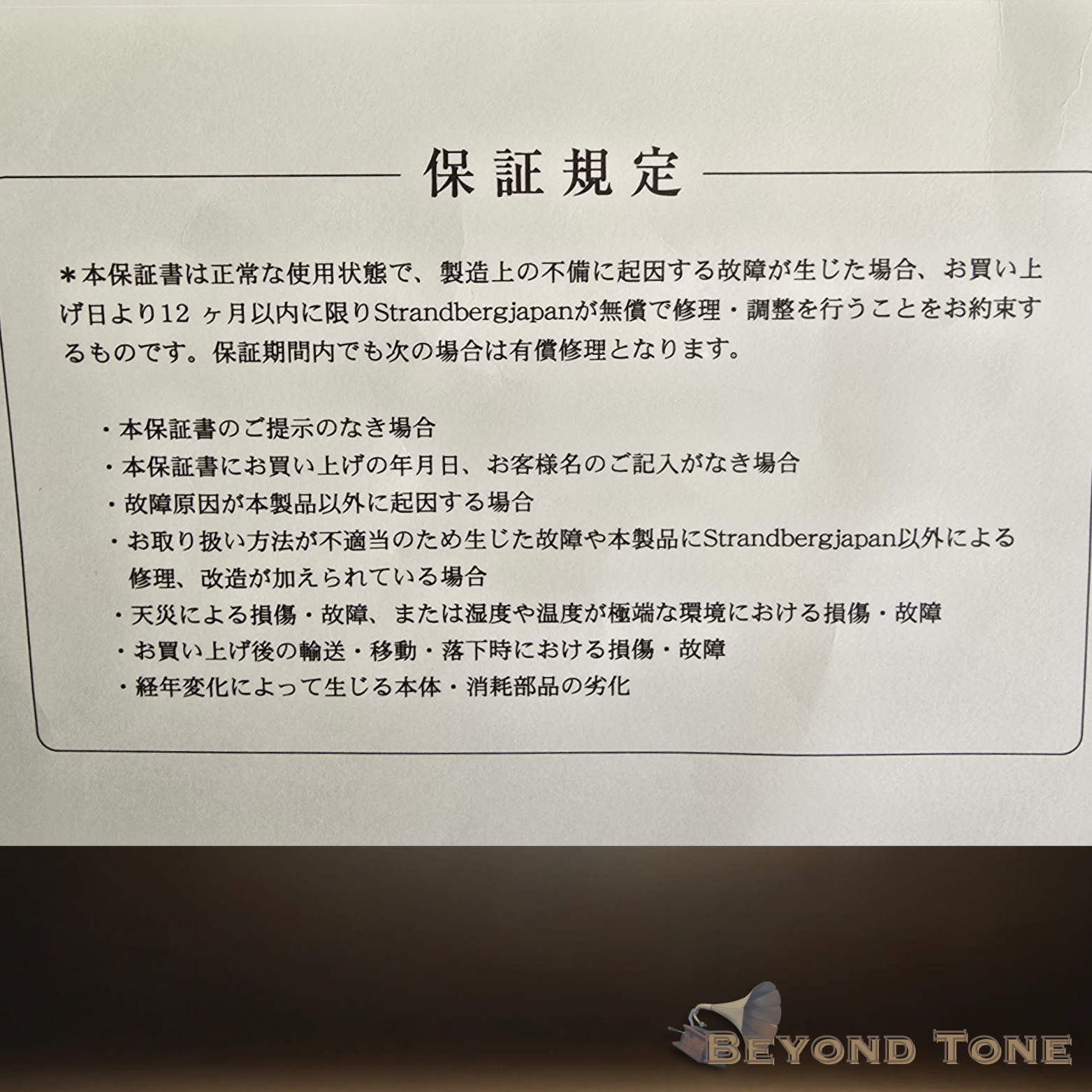 Strandberg Guitars 6 (2).png