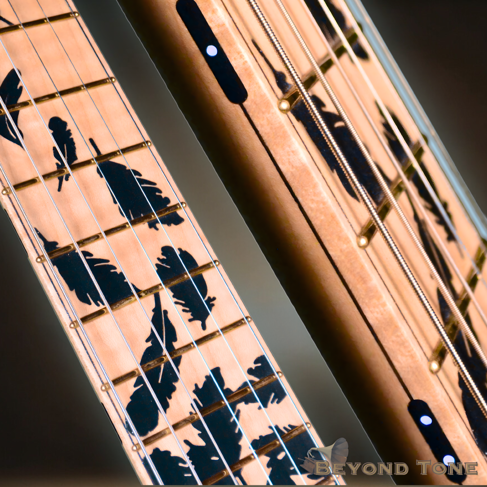 Boyarsky Embracer II Black Sun Albino cool fretboard.png