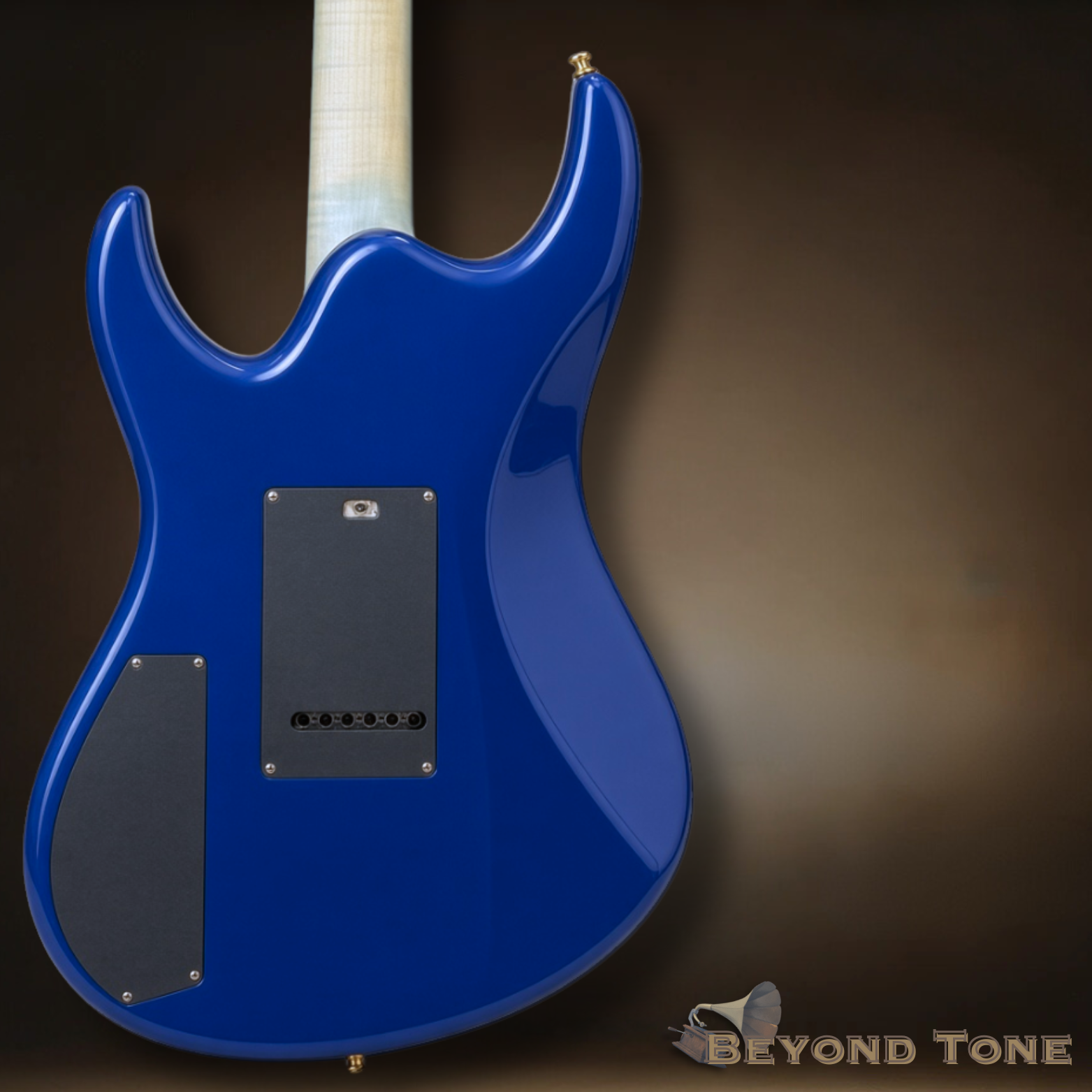 Valenti Guitars Nebula Master grade flamed maple (4).png
