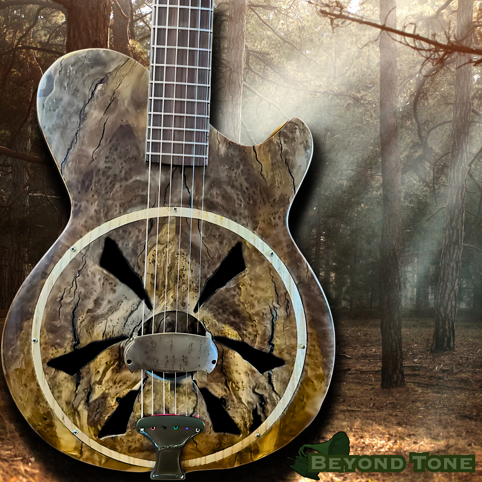 Resonator Guitars