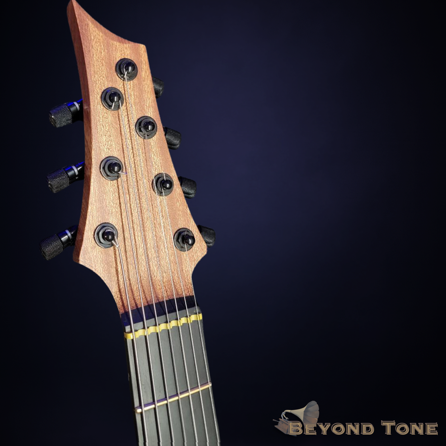 Patrick Hufschmid 7 string (2).png