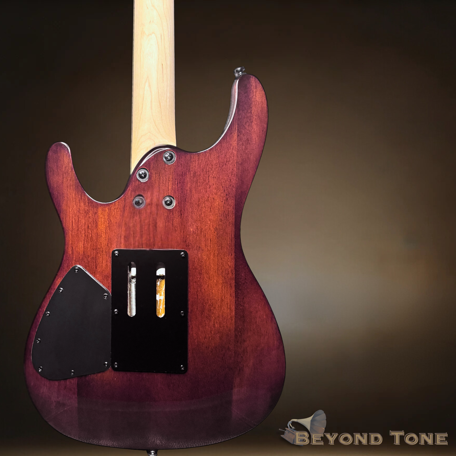 Ibanez S Series (2) copy.png