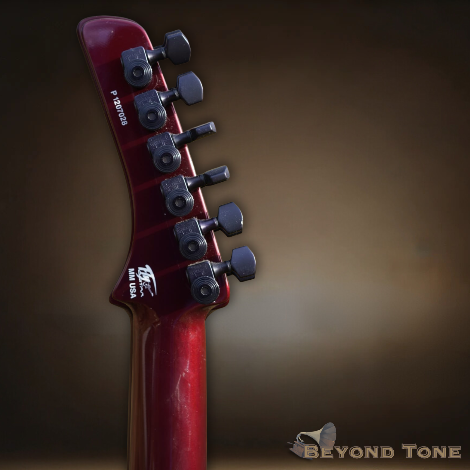 Parker fly guitar (2) copy.png