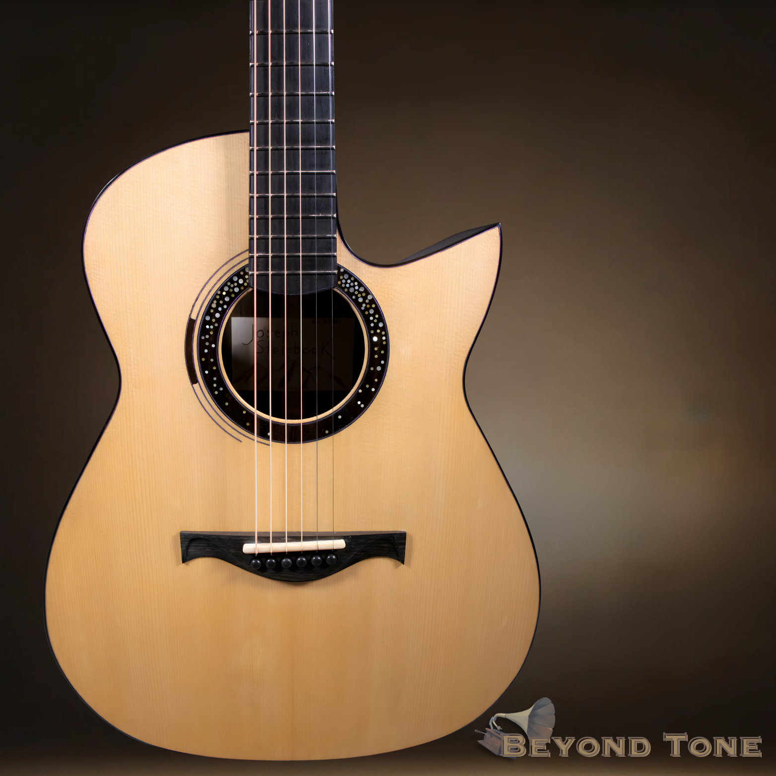 Steinbock Fine Instruments florentien cutaway.png