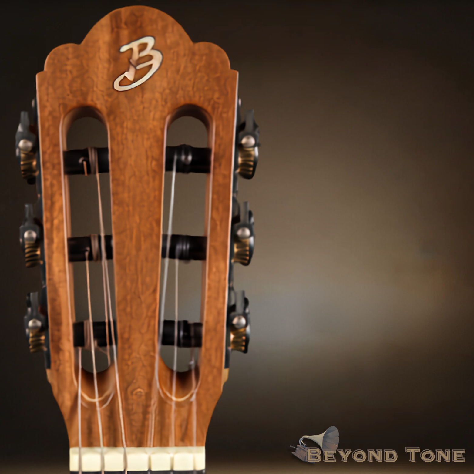 Tim May oval whole acoustic.png