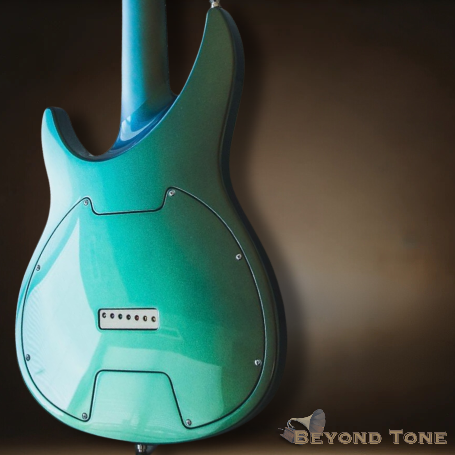 Aristides 070 Custom 7-String!!!.png