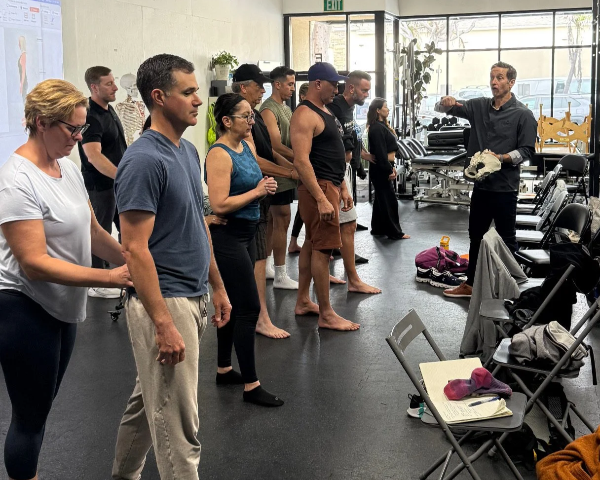A group of people standing in a fitness or physical therapy studio listening to an instructor who is holding a skull model and gesturing with his right hand.
