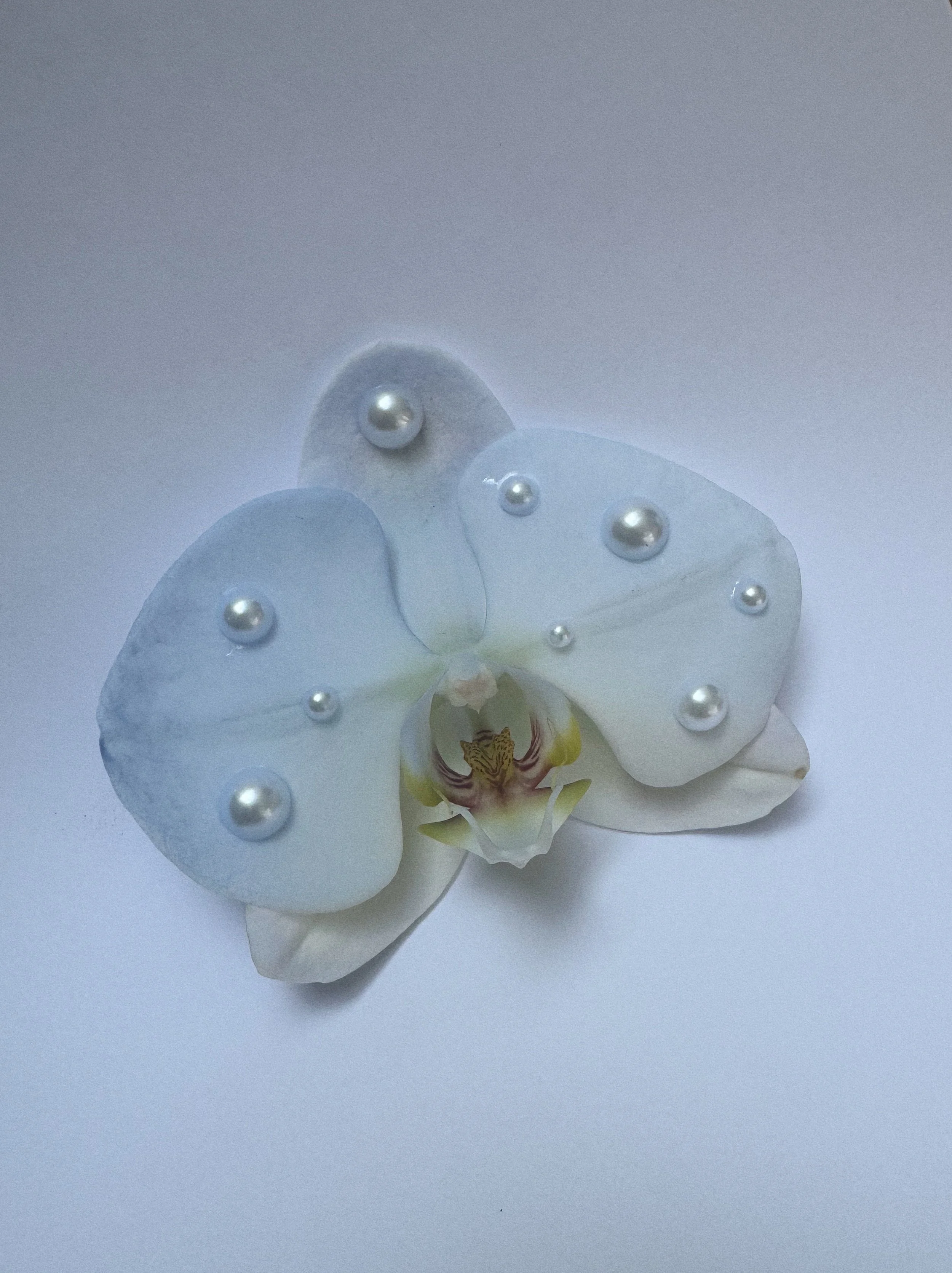 Locally Grown potted white Phalaenopsis orchid delivery in Vancouver