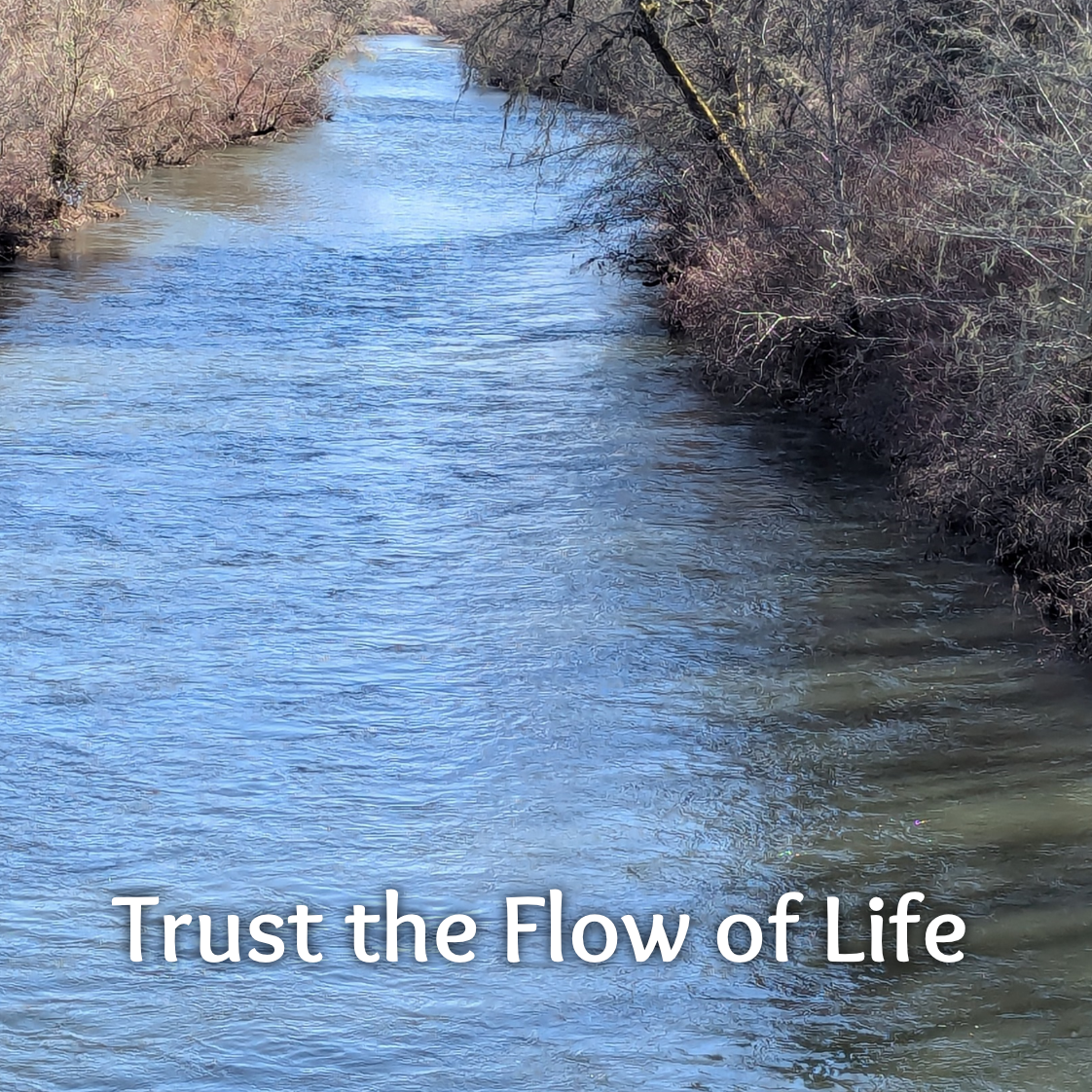 Flow Front.png